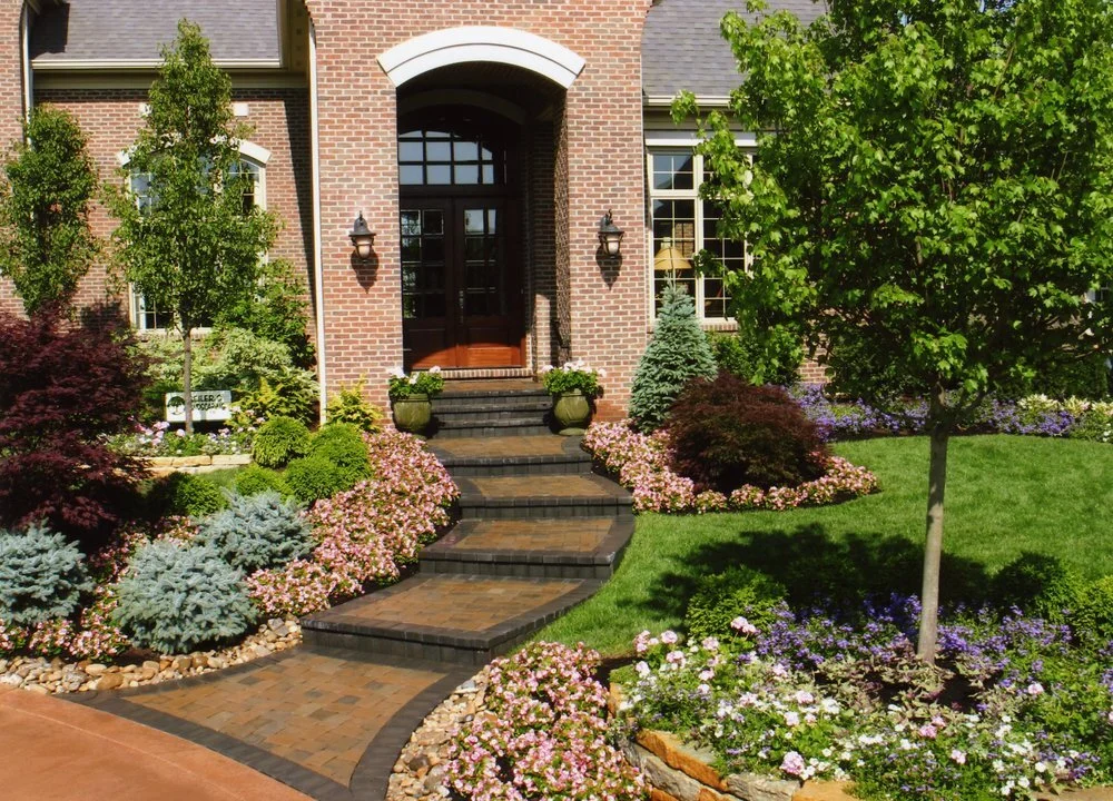 mature-tree-schrub-care-1.jpg