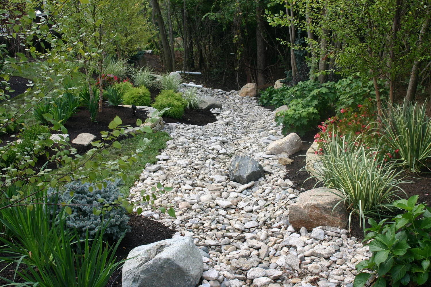 IMG_1171_038.jpg
