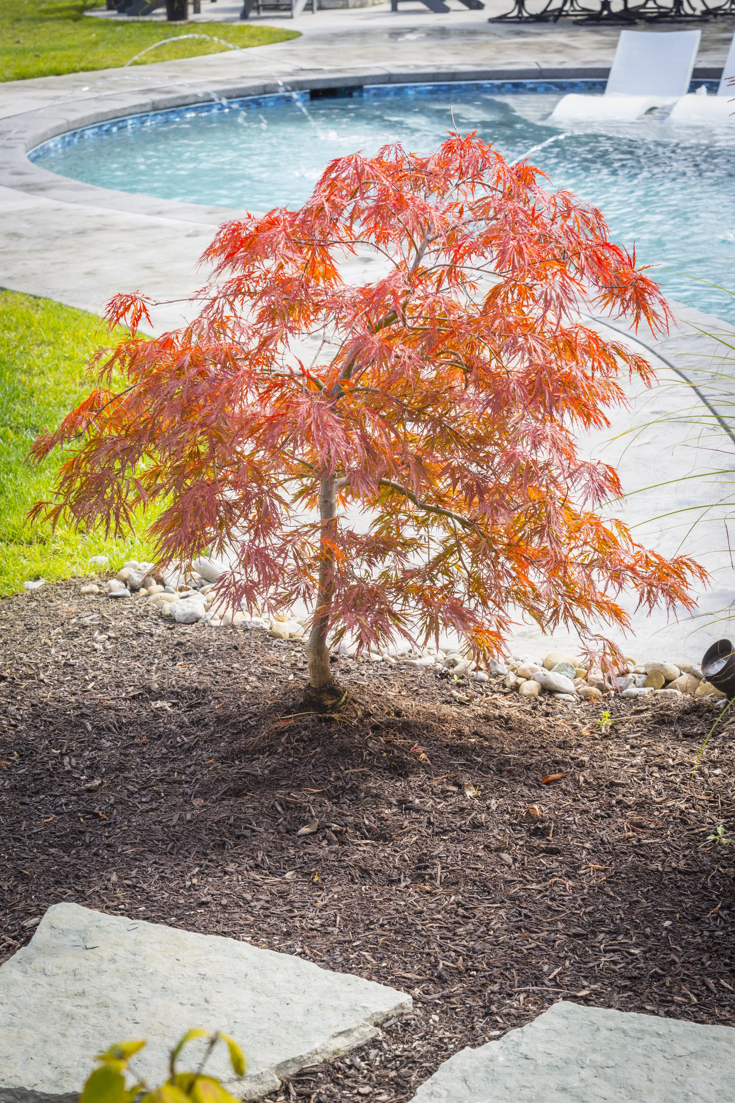 Why Fall Is the Perfect Time for Landscape Design