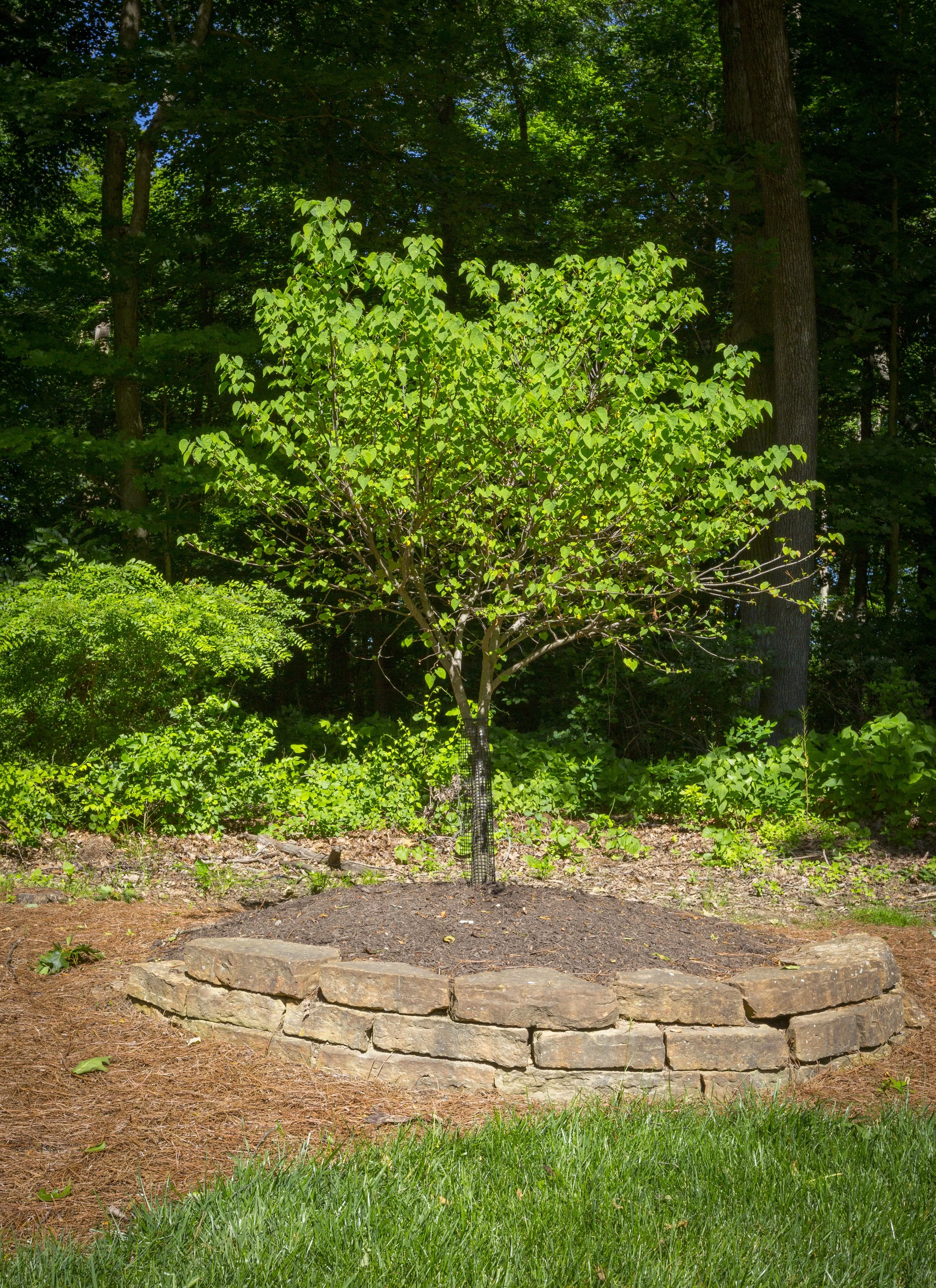 Employee Spotlight: Dave Dew