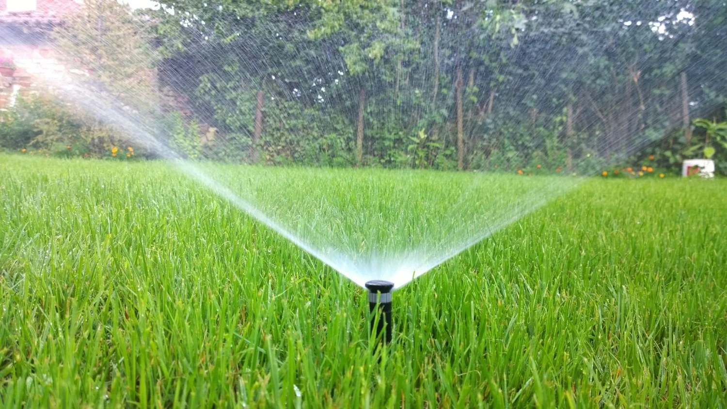 The Best Time to Water Plants: Our Tips - Seiler's Landscaping  Seiler's  Landscaping - Cincinnati