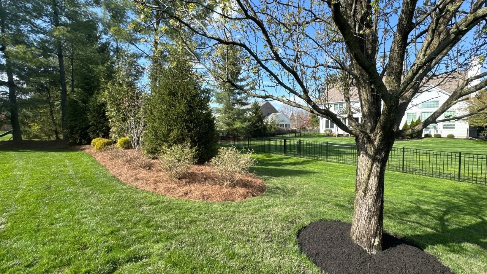 Winter Pruning: Even Dormant Trees and Shrubs Need Attention