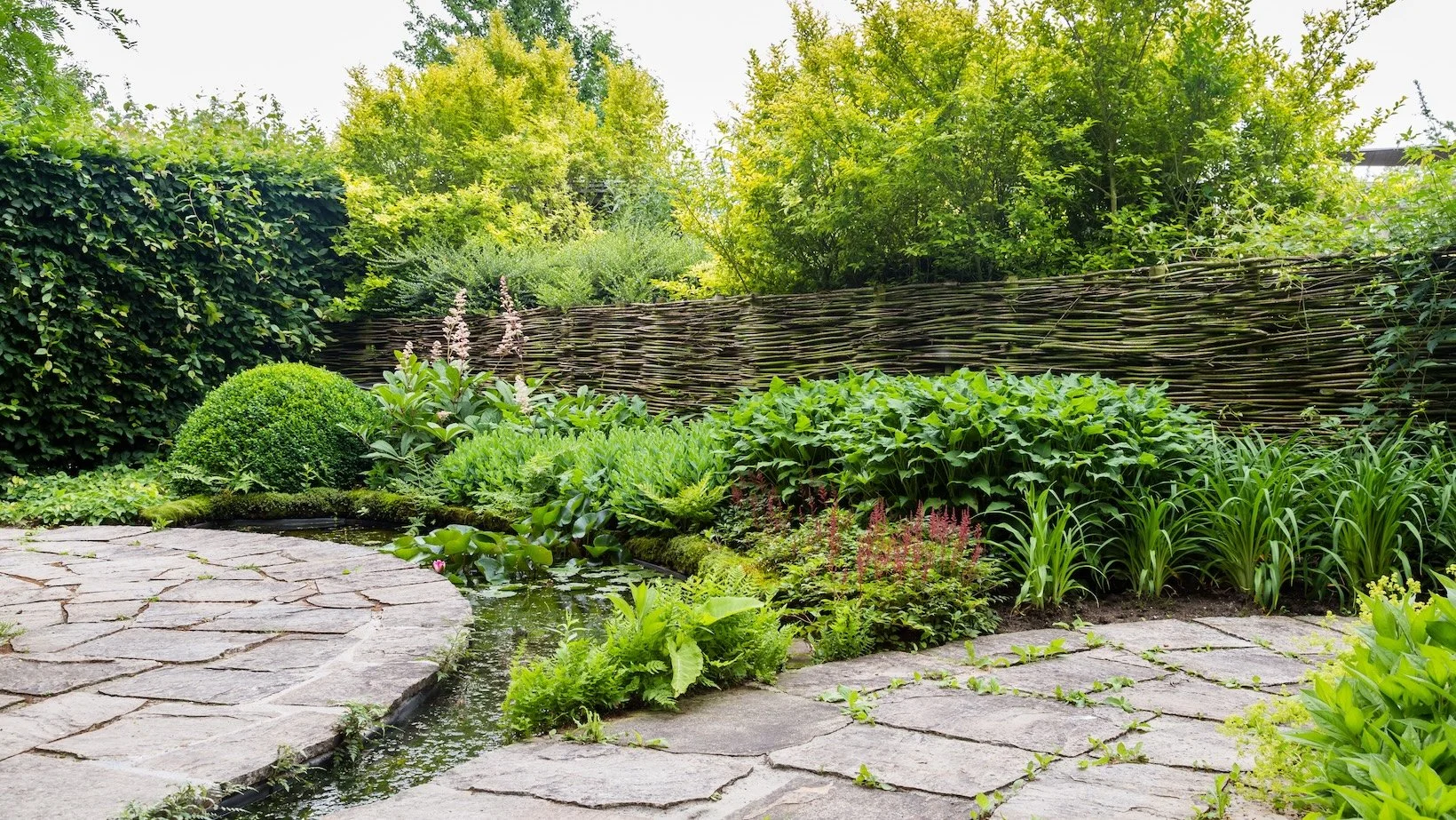 Backyard Privacy Landscaping Ideas for Cincinnati Homes
