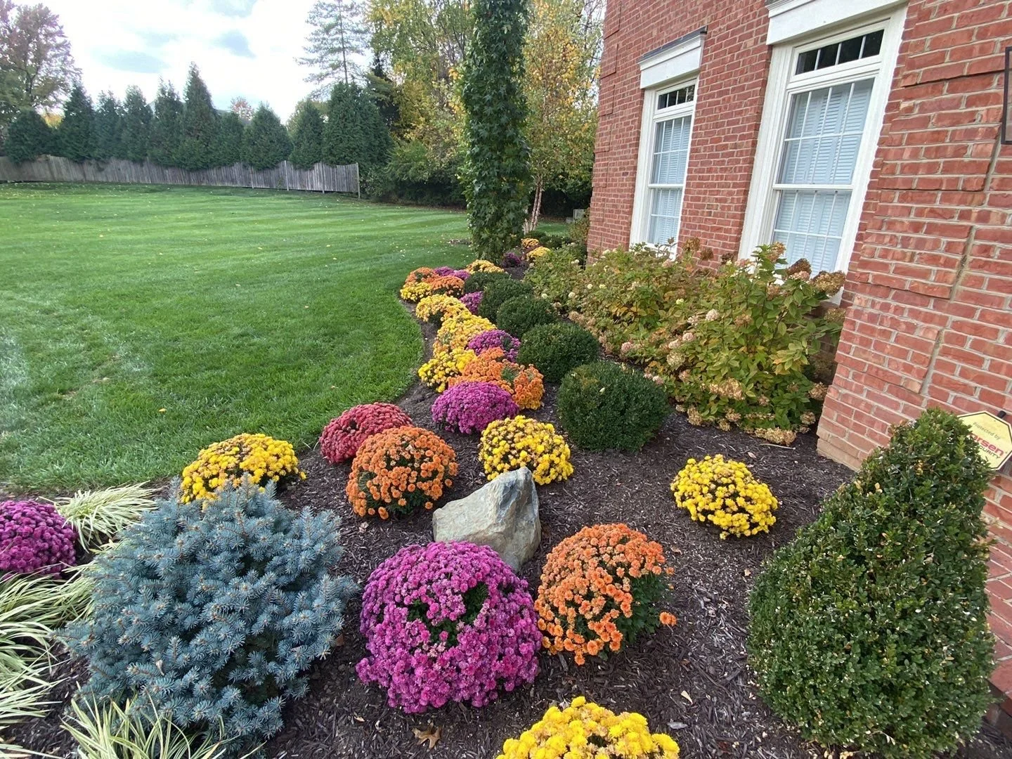 Colorful Flowers (1).jpg
