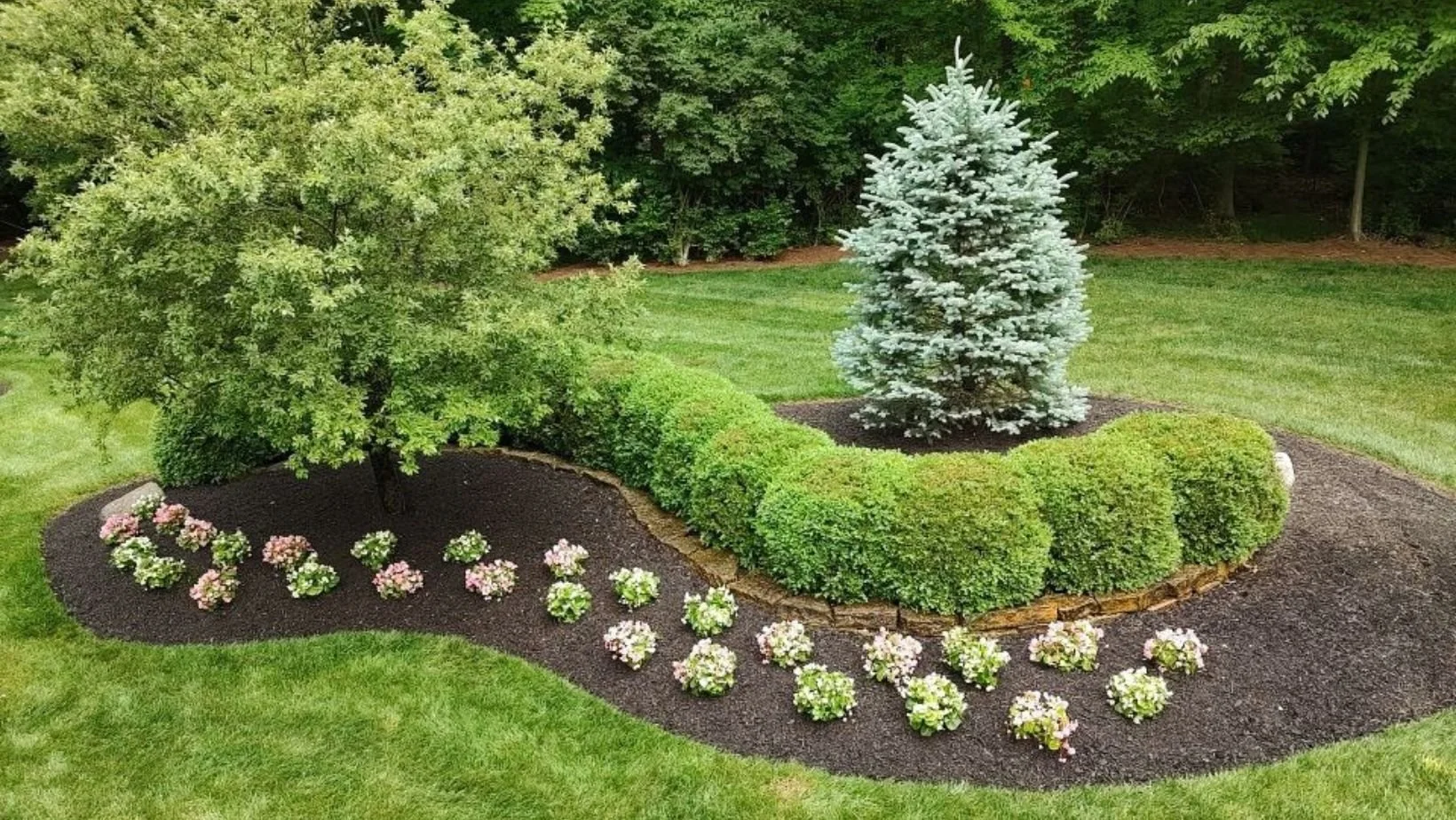 Winter Pruning Trees and Shrubs - Seilers Landscaping