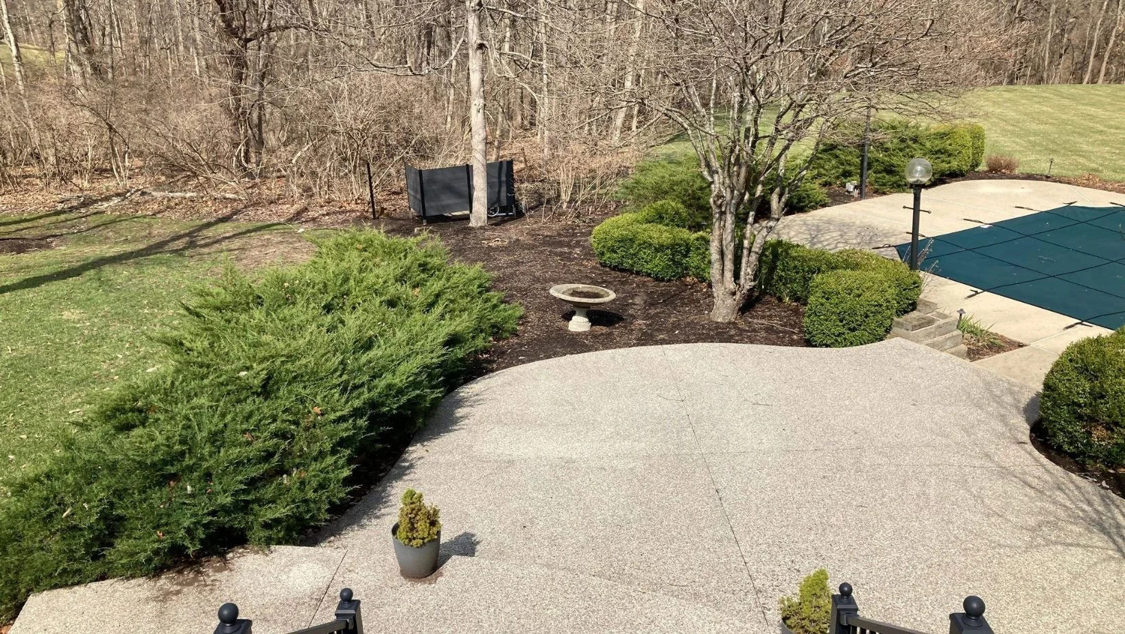 Winter Landscaping Evergreens - Seilers Landscaping