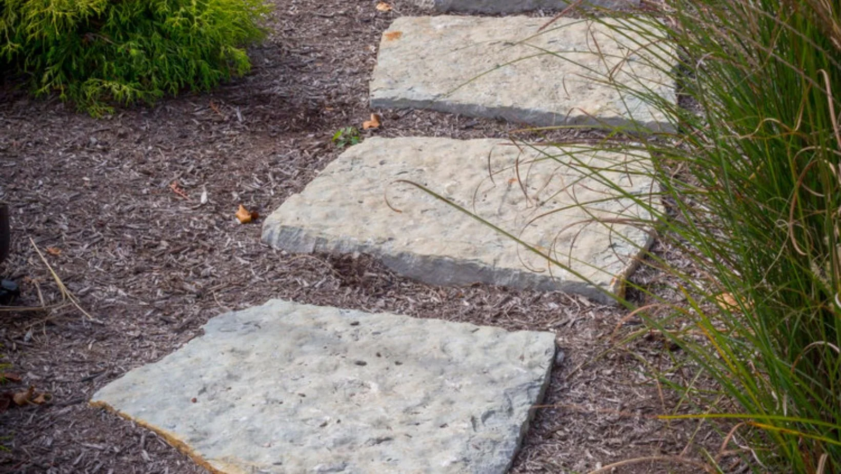 Top 5 Landscaping Trends for 2026 — Seiler's Landscaping - Cincinnati