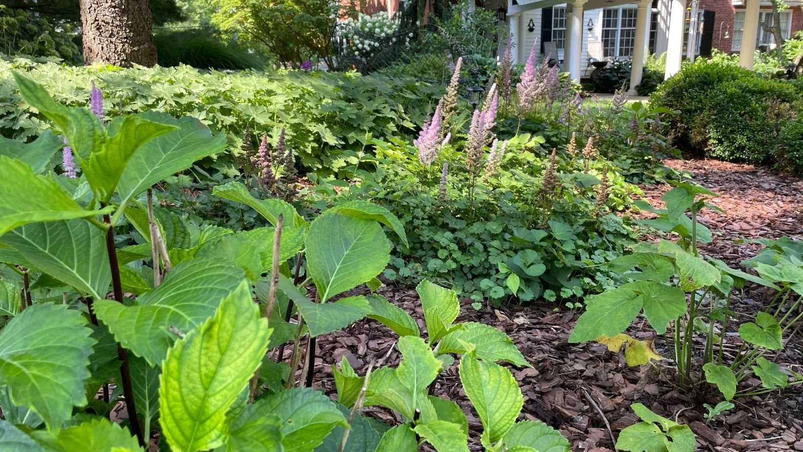 Seasonal Landscaping Native Meadow - Seiler's Landscaping