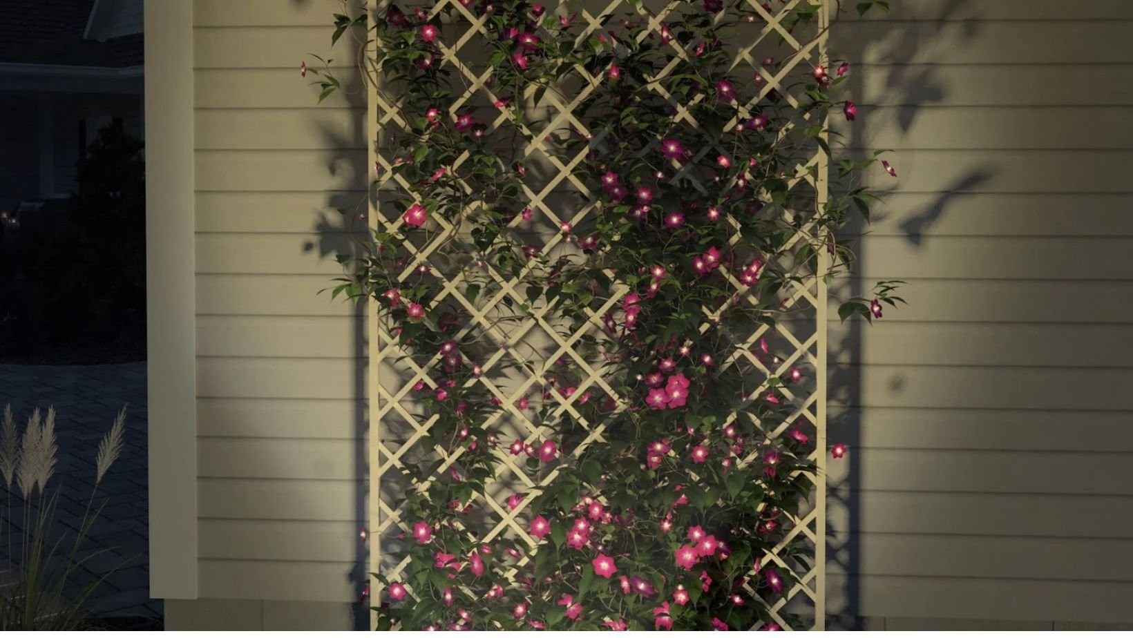 Landscape Lighting Ideas Wash - Seiler's Landscaping.jpg