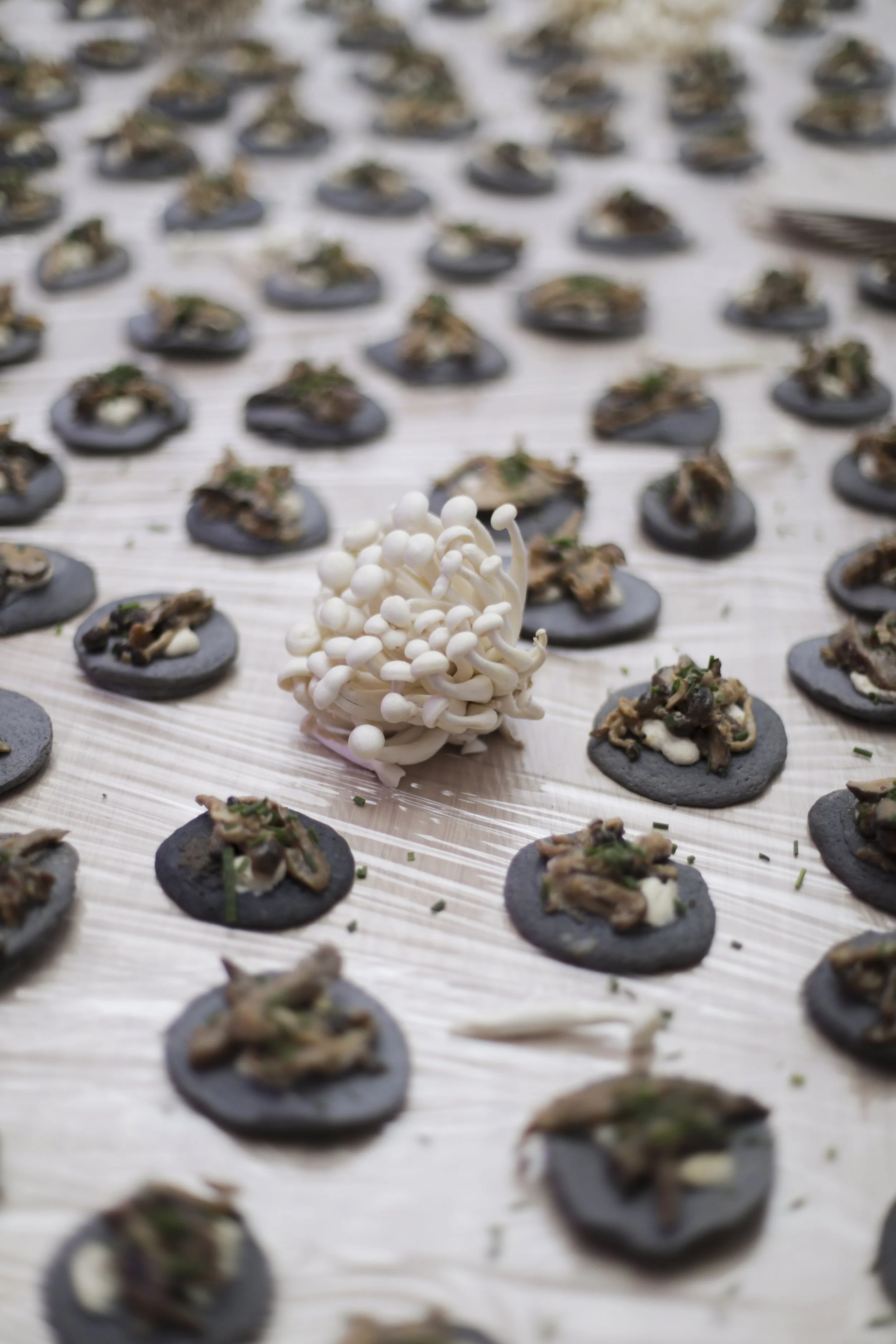 bysophie  (12 of 81).jpg
