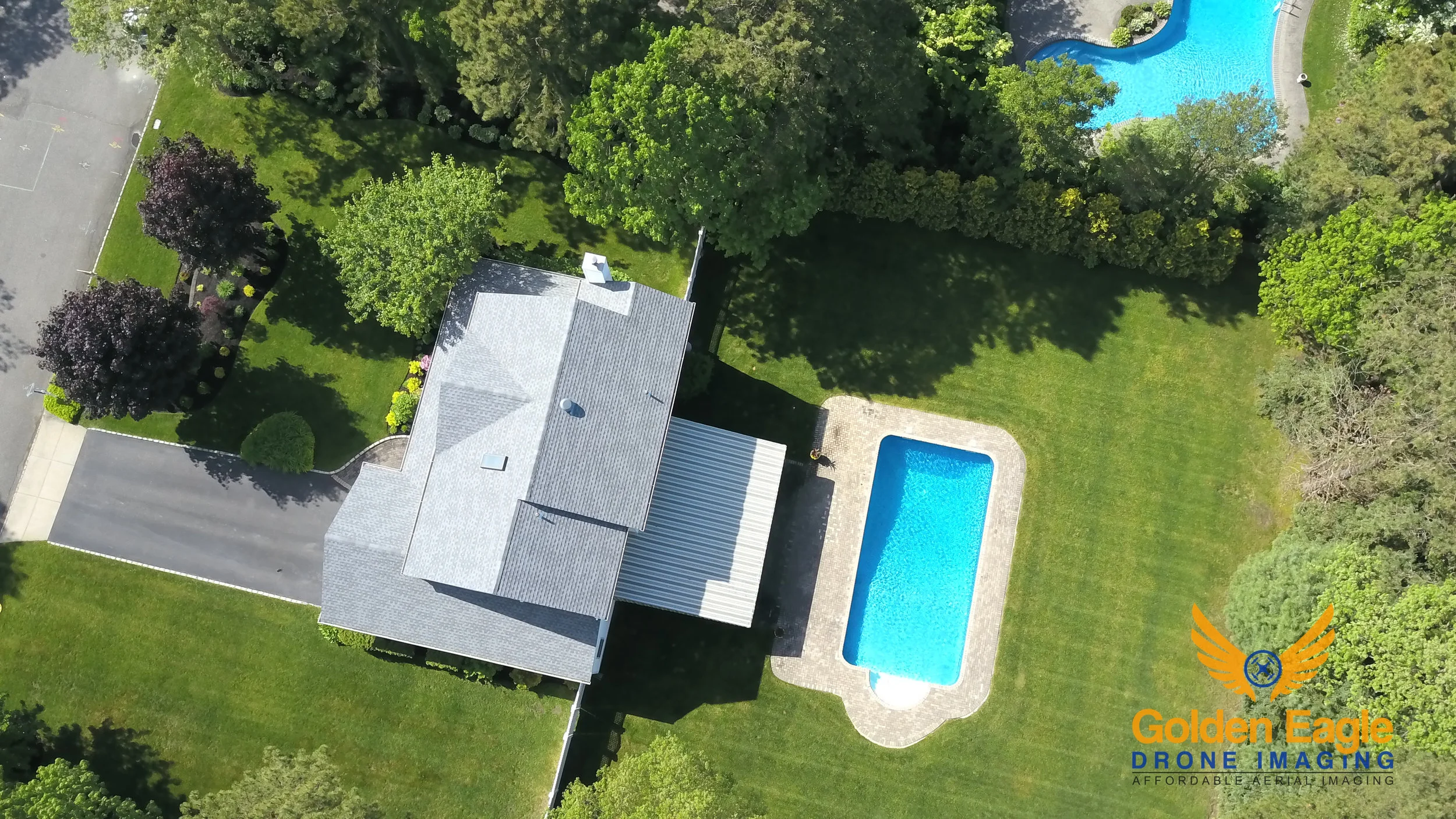 Golden Eagle Drone Imaging