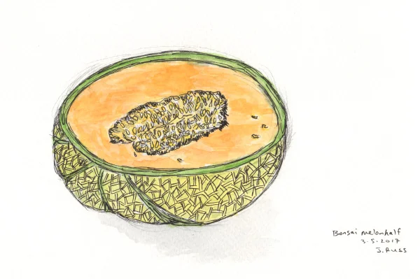 Pencil, pen, and watercolor. "Bonsai melon half" from Trader Joe's. March 2017. Copyright © 2017 Jennifer Russ, All Rights Reserved. 