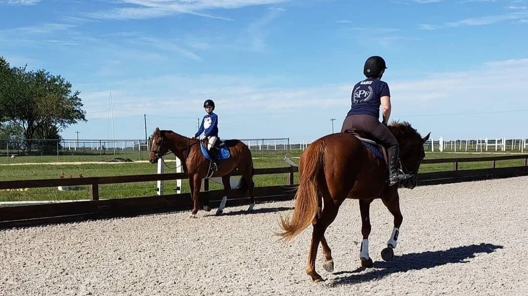 Creating the Best Arena Footing for Hunter/Jumpers