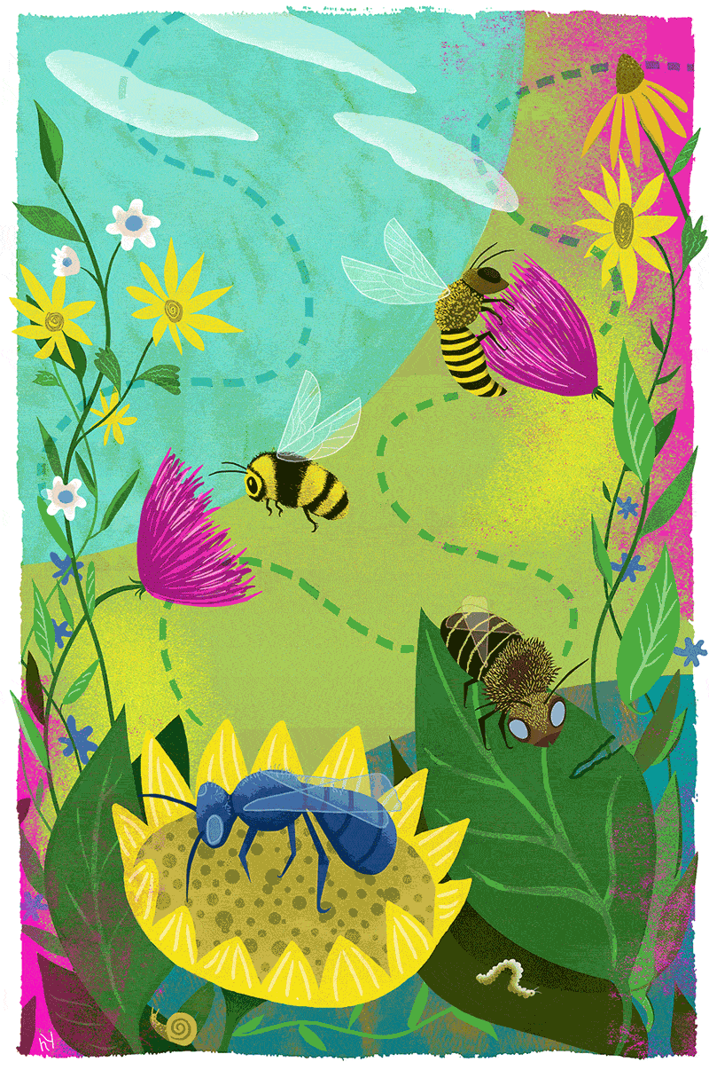 21SCI-BEES-illo-superJumbo.gif