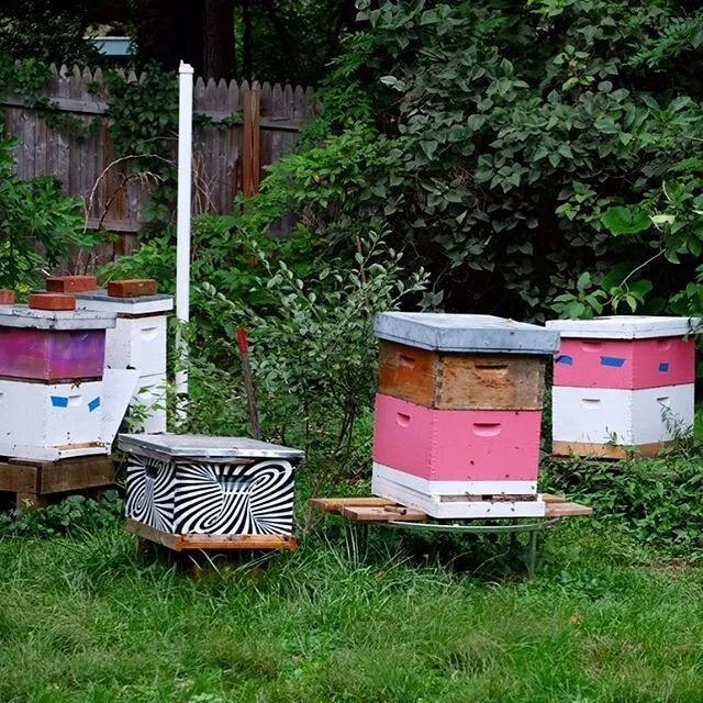 Can't wait till spring! #beehive #beekeeping #apiary #honeybee #newhaven #eastrock #savethebees #🐝