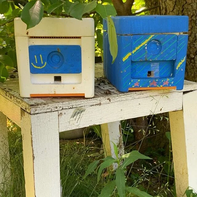Two happy little hives! #beekeeping #beehive #honeybee #beekeeper #pollinator #eastrock #newhaven