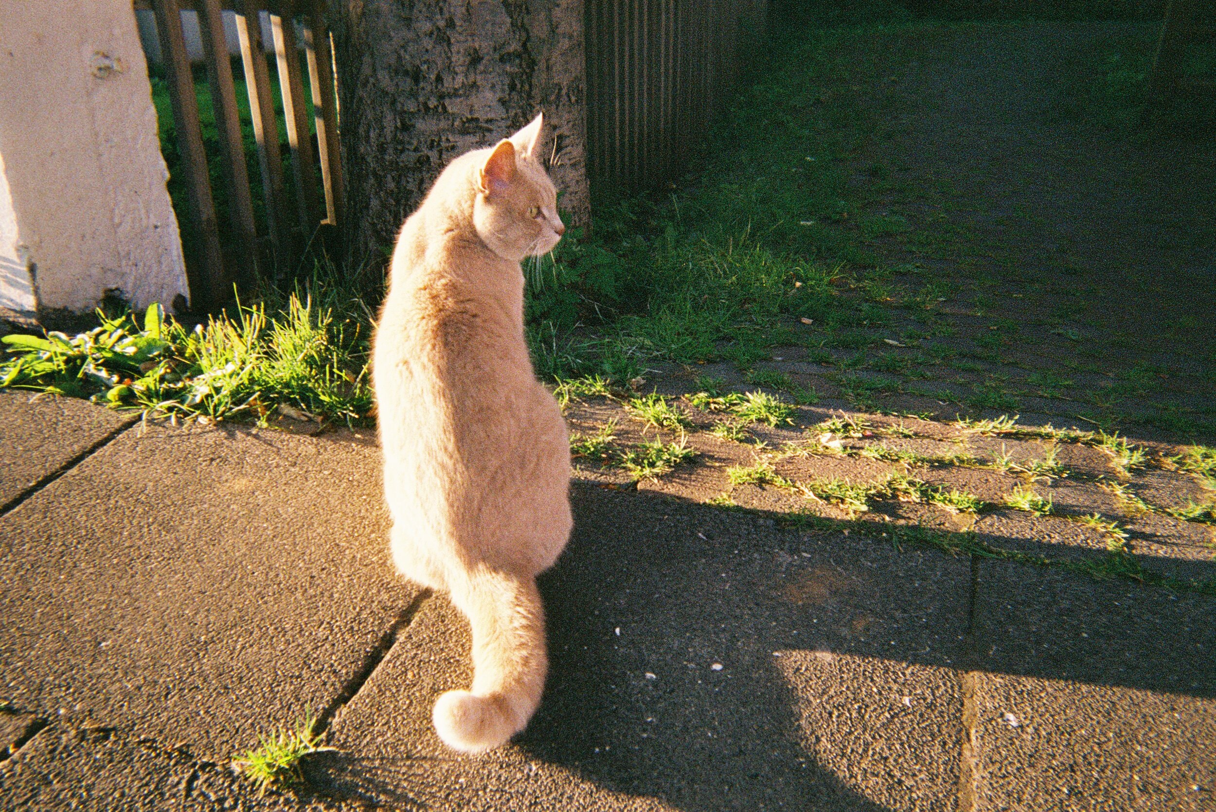 W066207-R01-000A_1 copie.Jpg