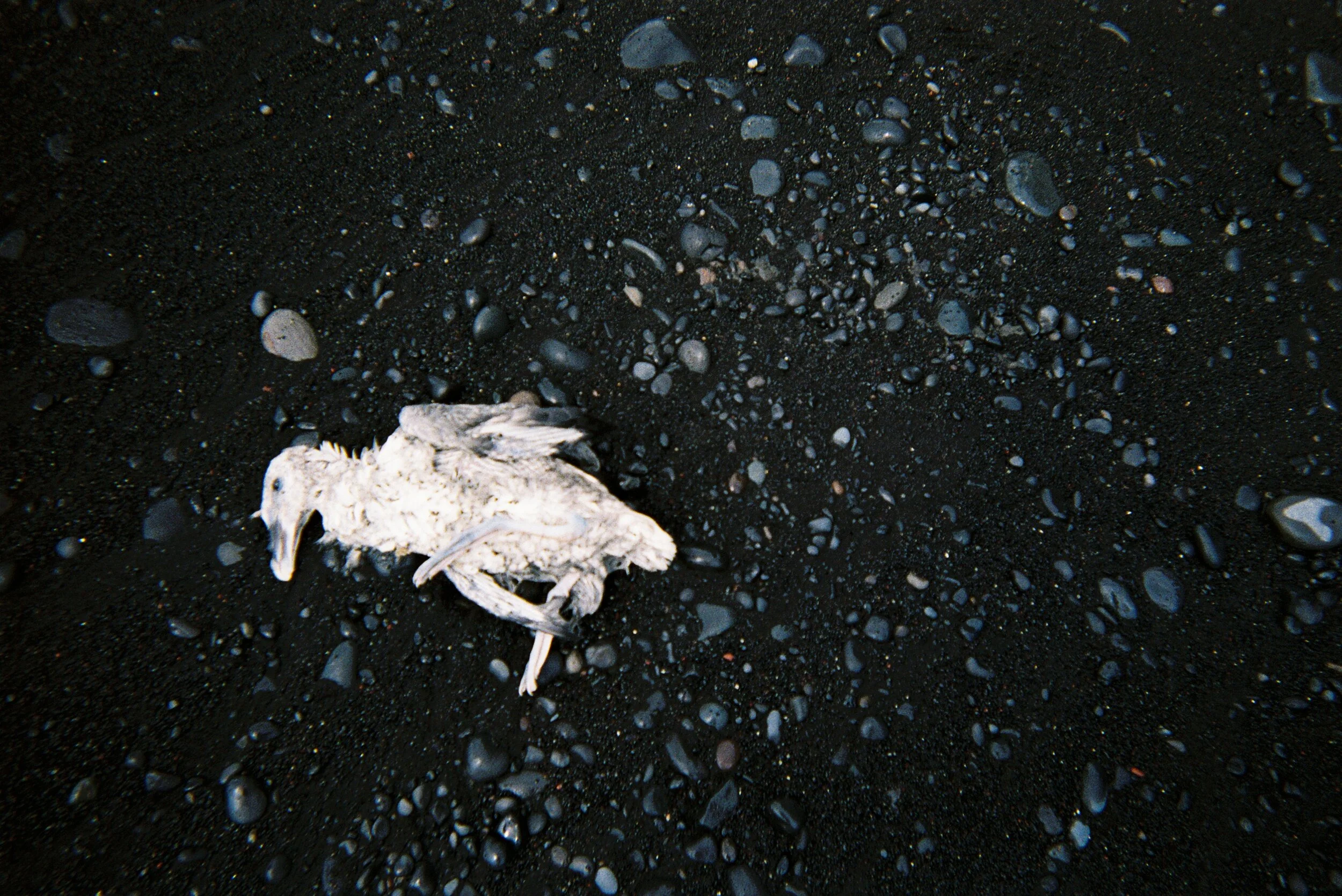 W066207-R01-016A copie.Jpg