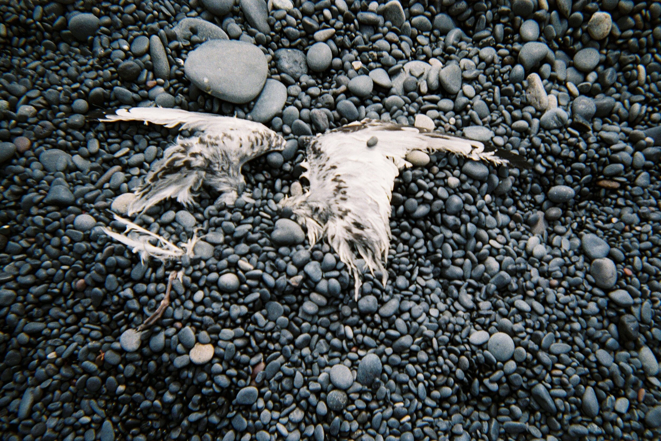 W066207-R01-019A copie.Jpg