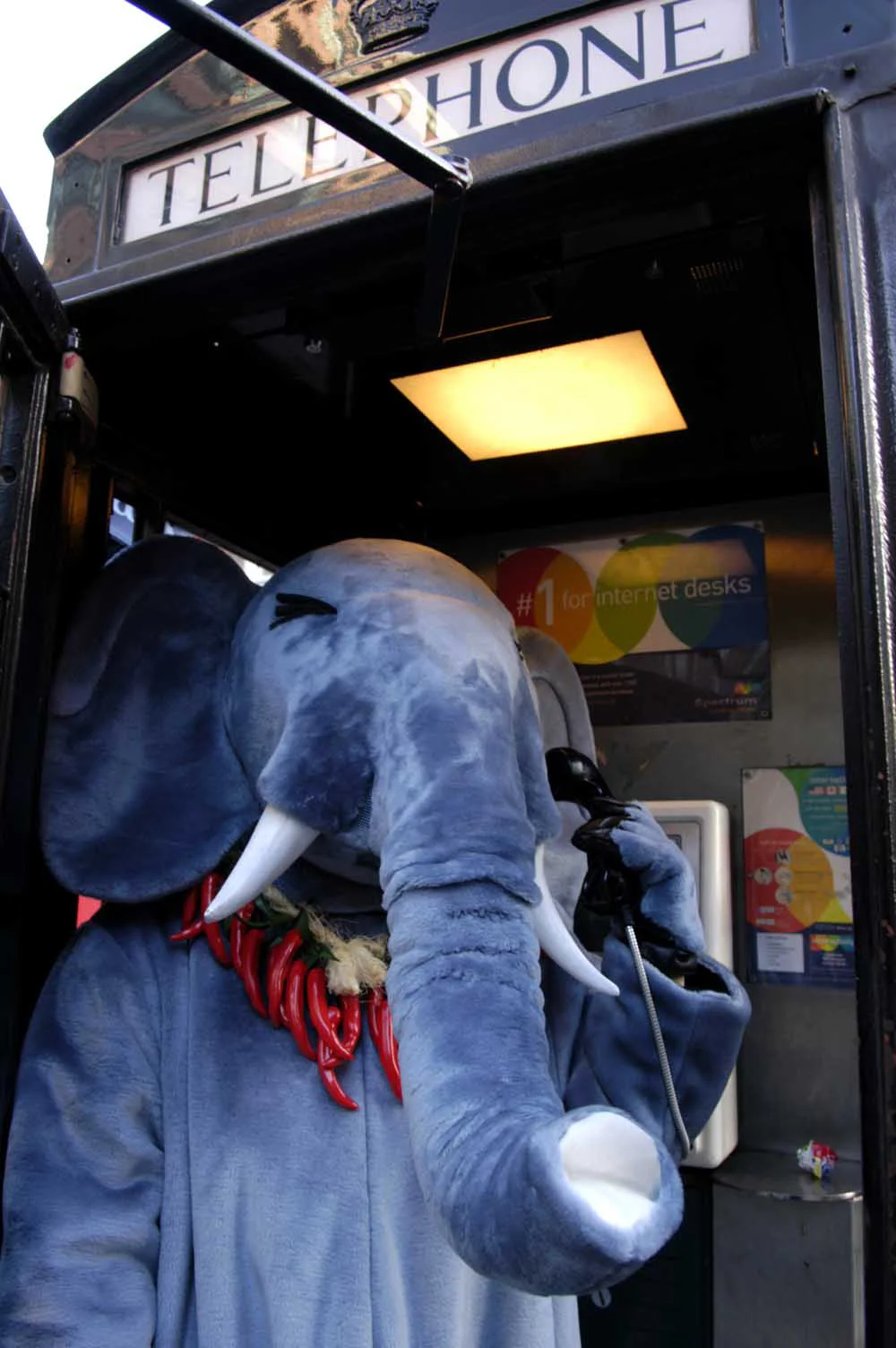Chilli Phant