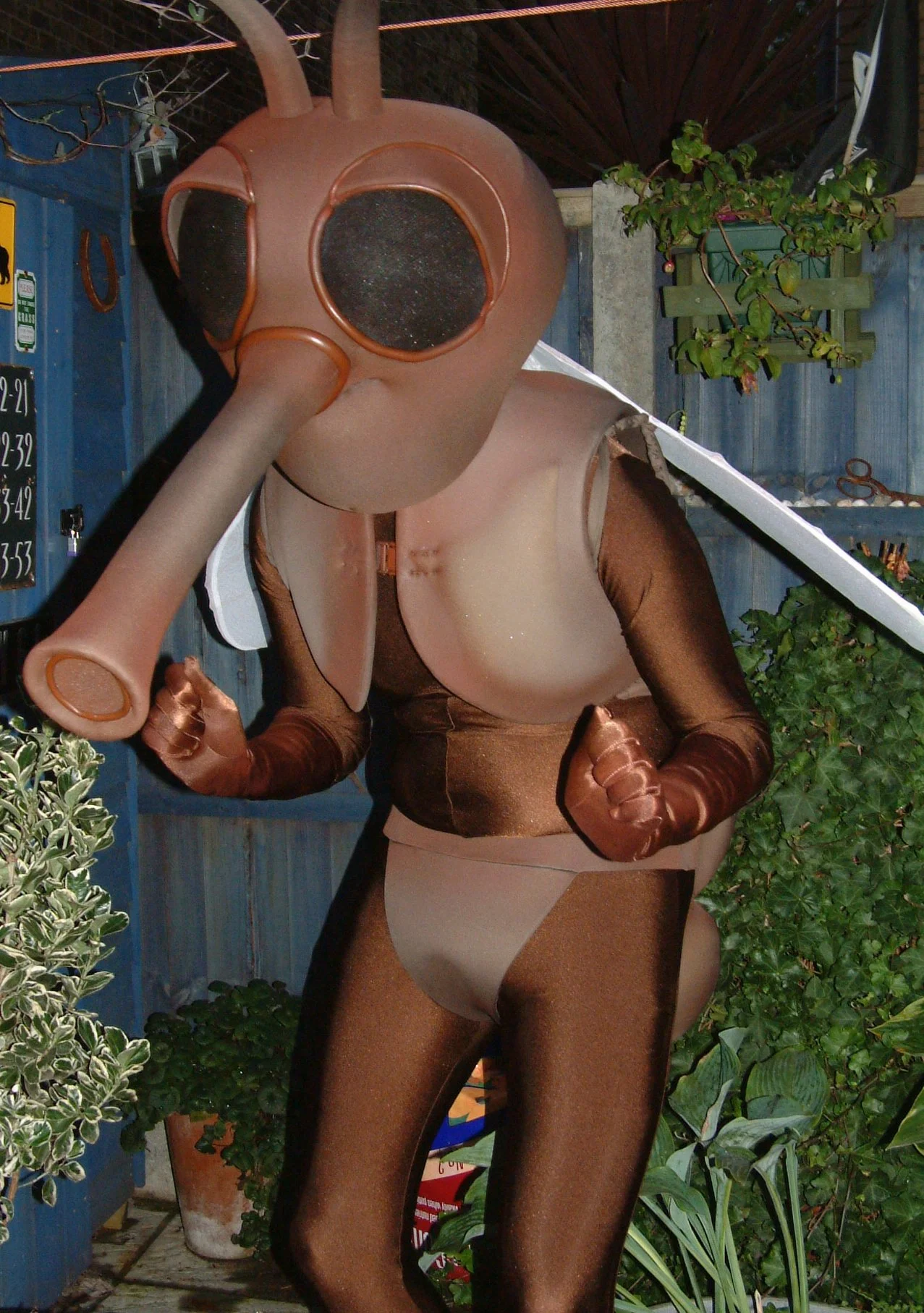 Mosquito Adrian Sampson Photography