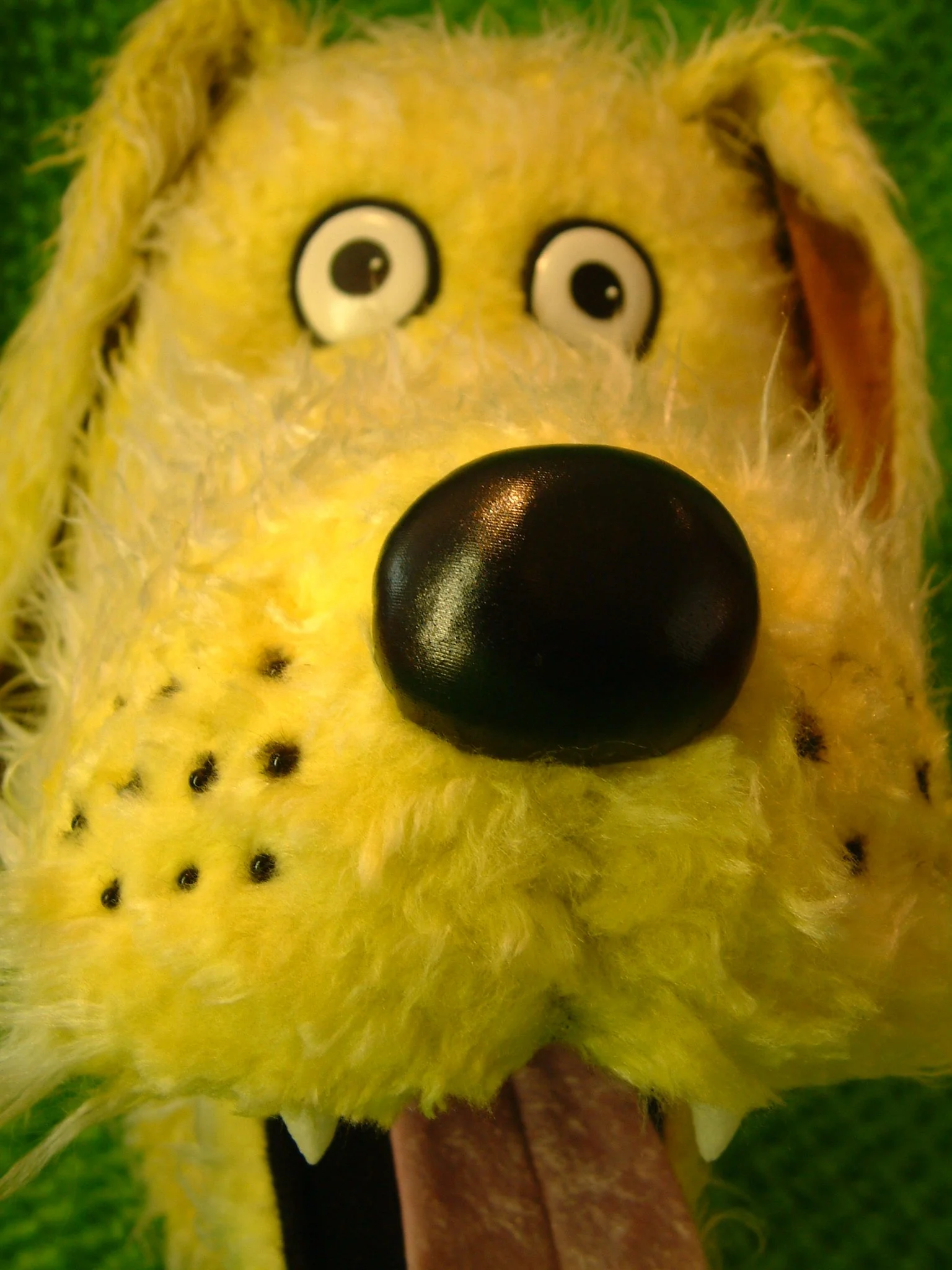 Oxford University Press