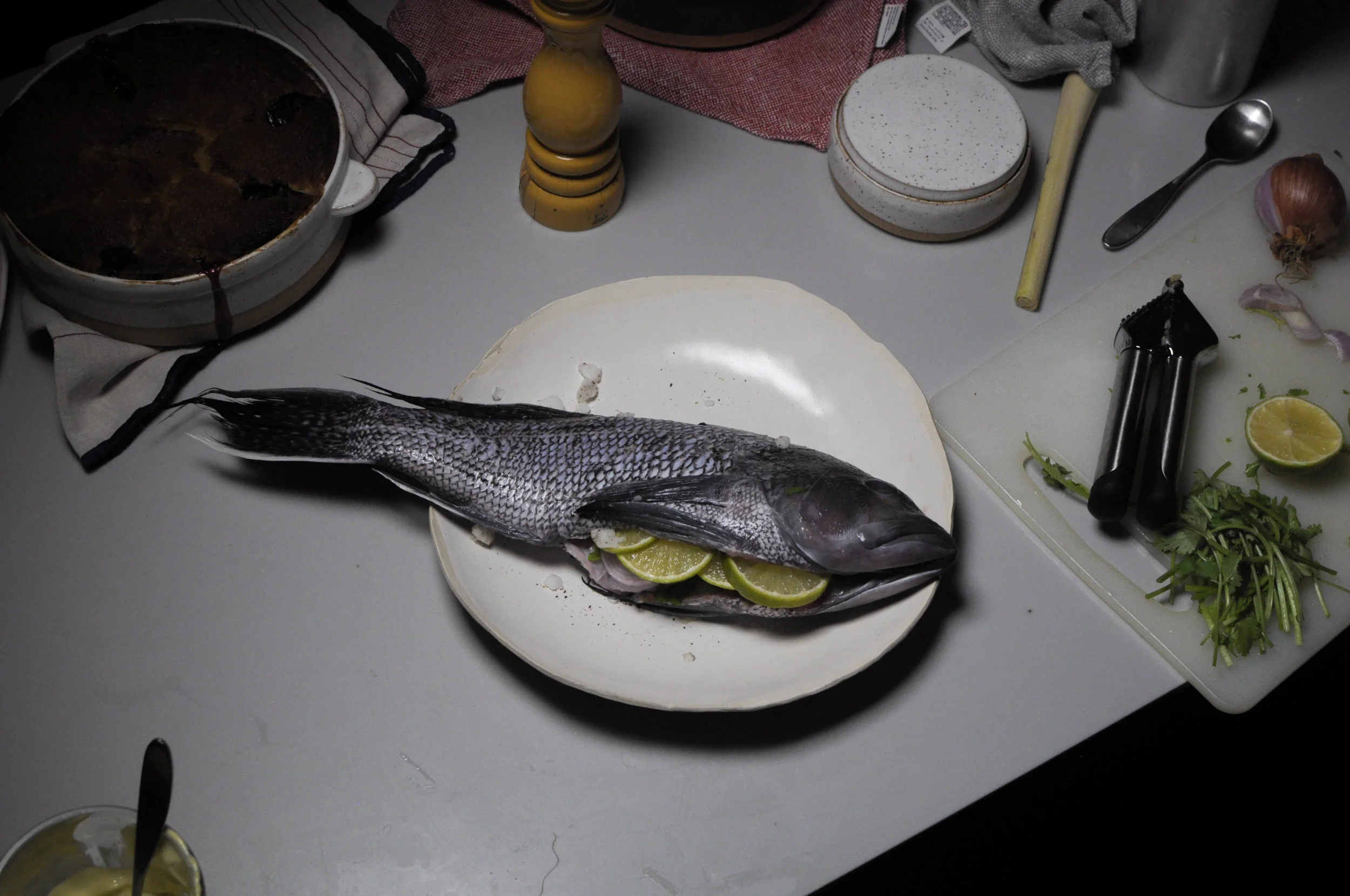 DSC_0726.jpg