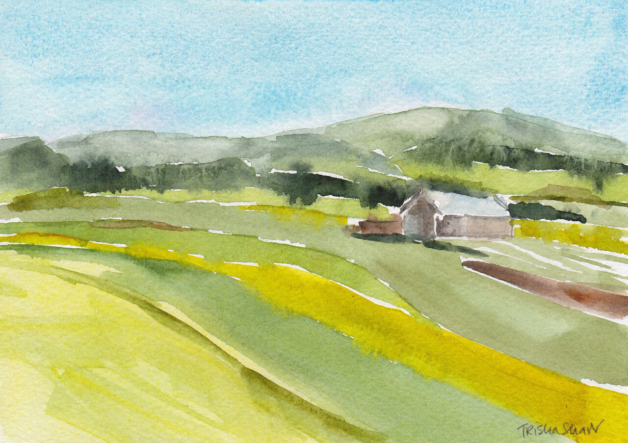 mini barn landscape.jpeg