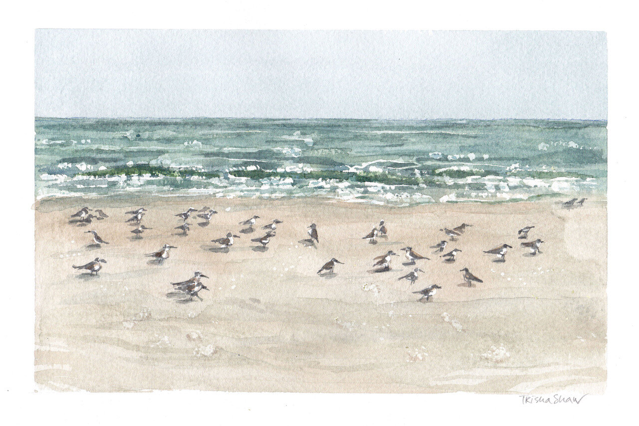 Amy's pipers by the shore.jpeg