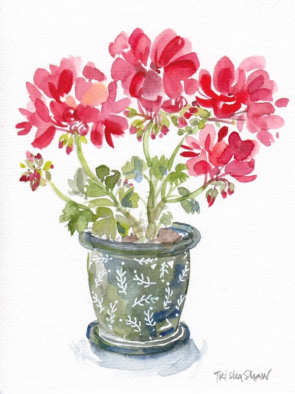 Vt potted geranium.jpg