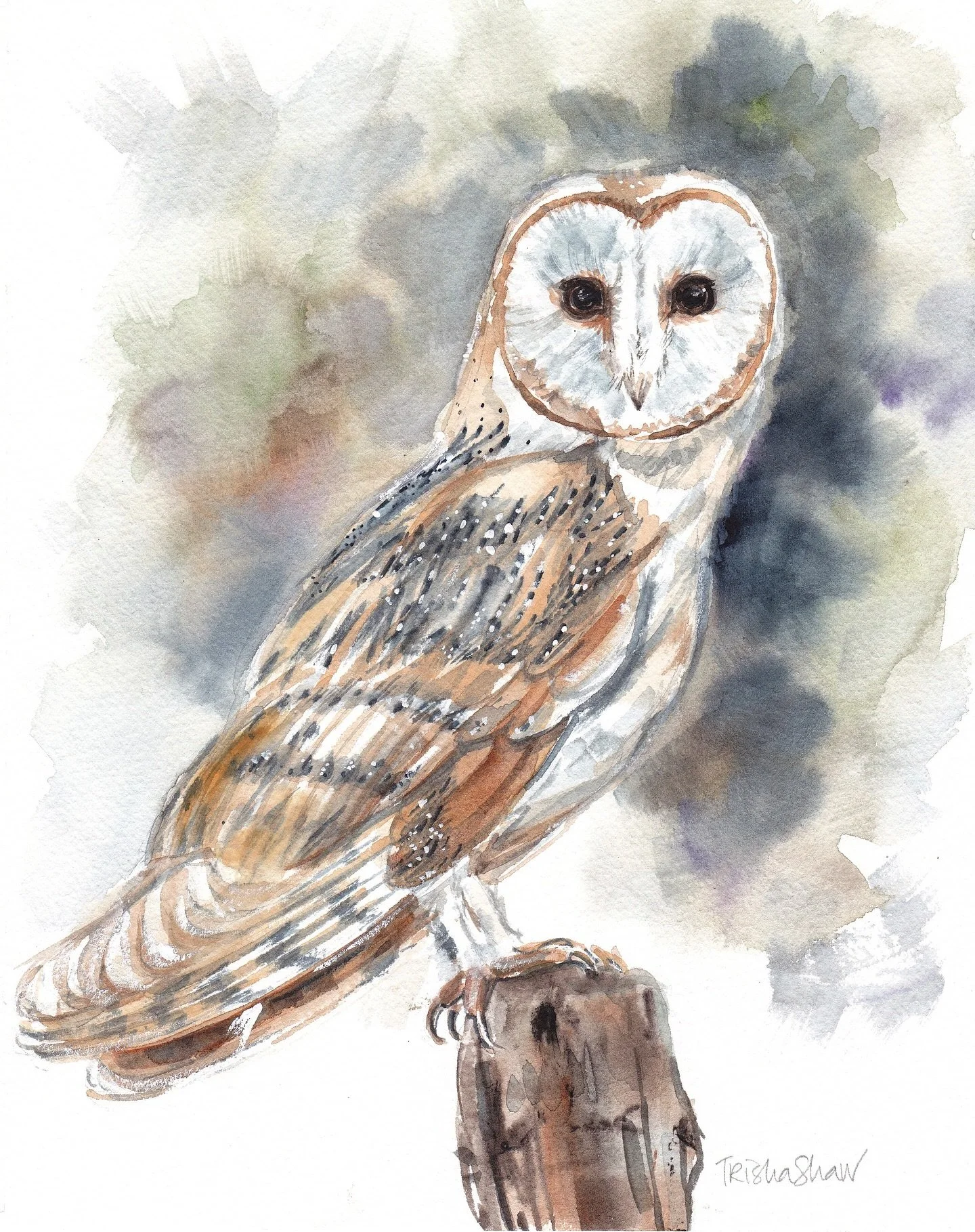 owls are such beautiful creatures, are they not? 🦉