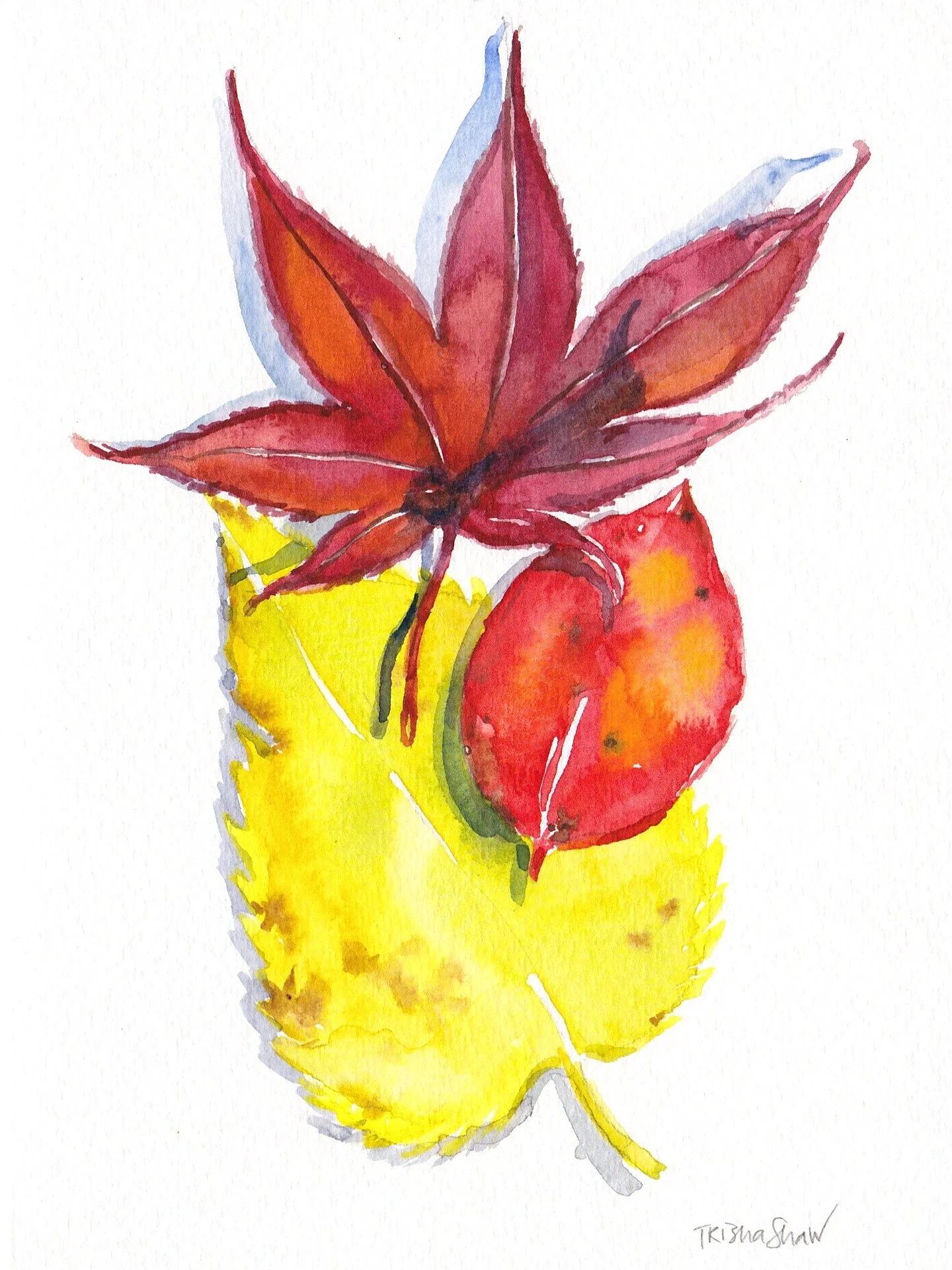 leaves in a bright hot palette🔥🍁💛🍁🔥