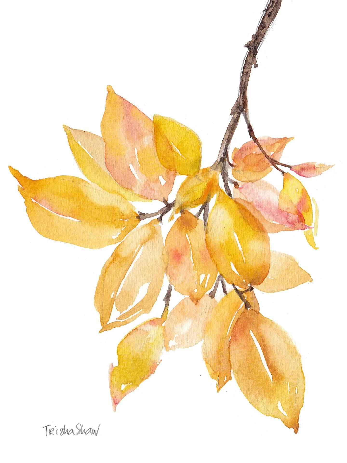 a branch of golden leaves, glowing brightly 💛