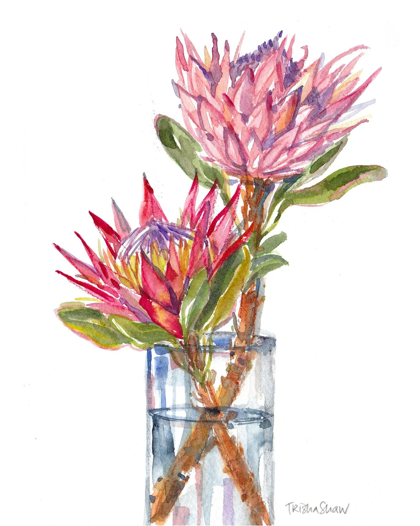 protea in pinks + purples for a floral friday🩷💜💚