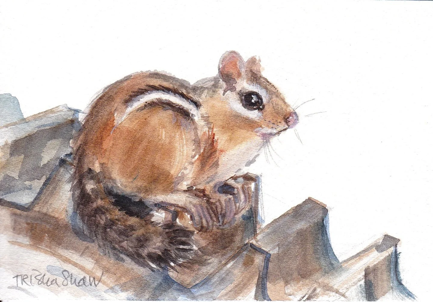 hope you have a chippy + happy sunday 🐿️😊