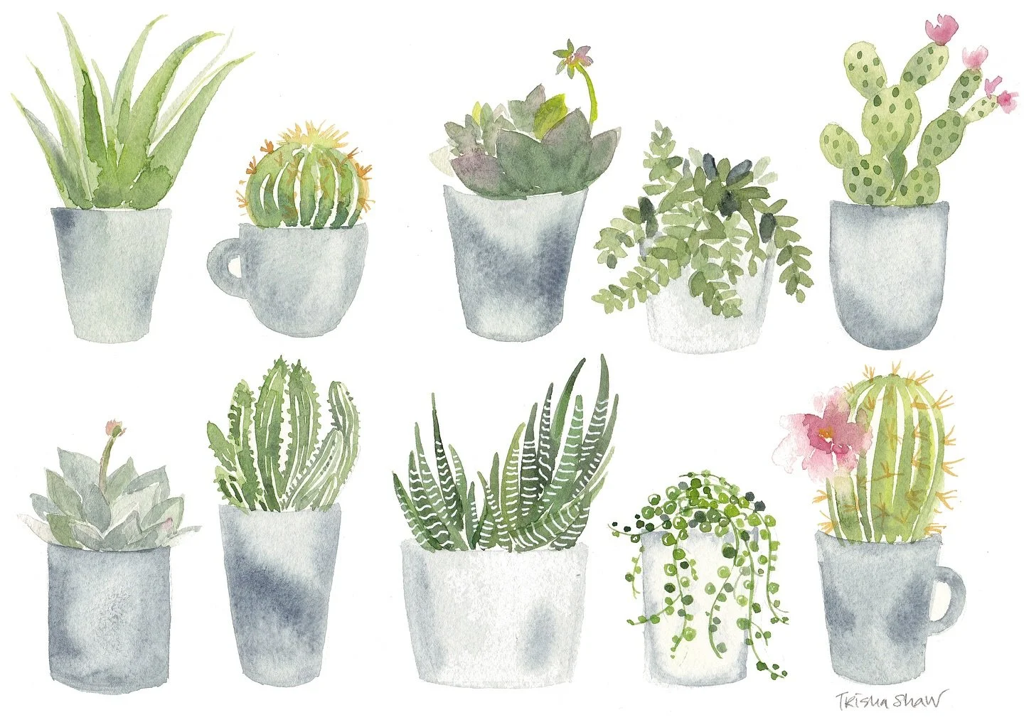 bringing back an oldie, but a cutie!💚🪴🌵🌿