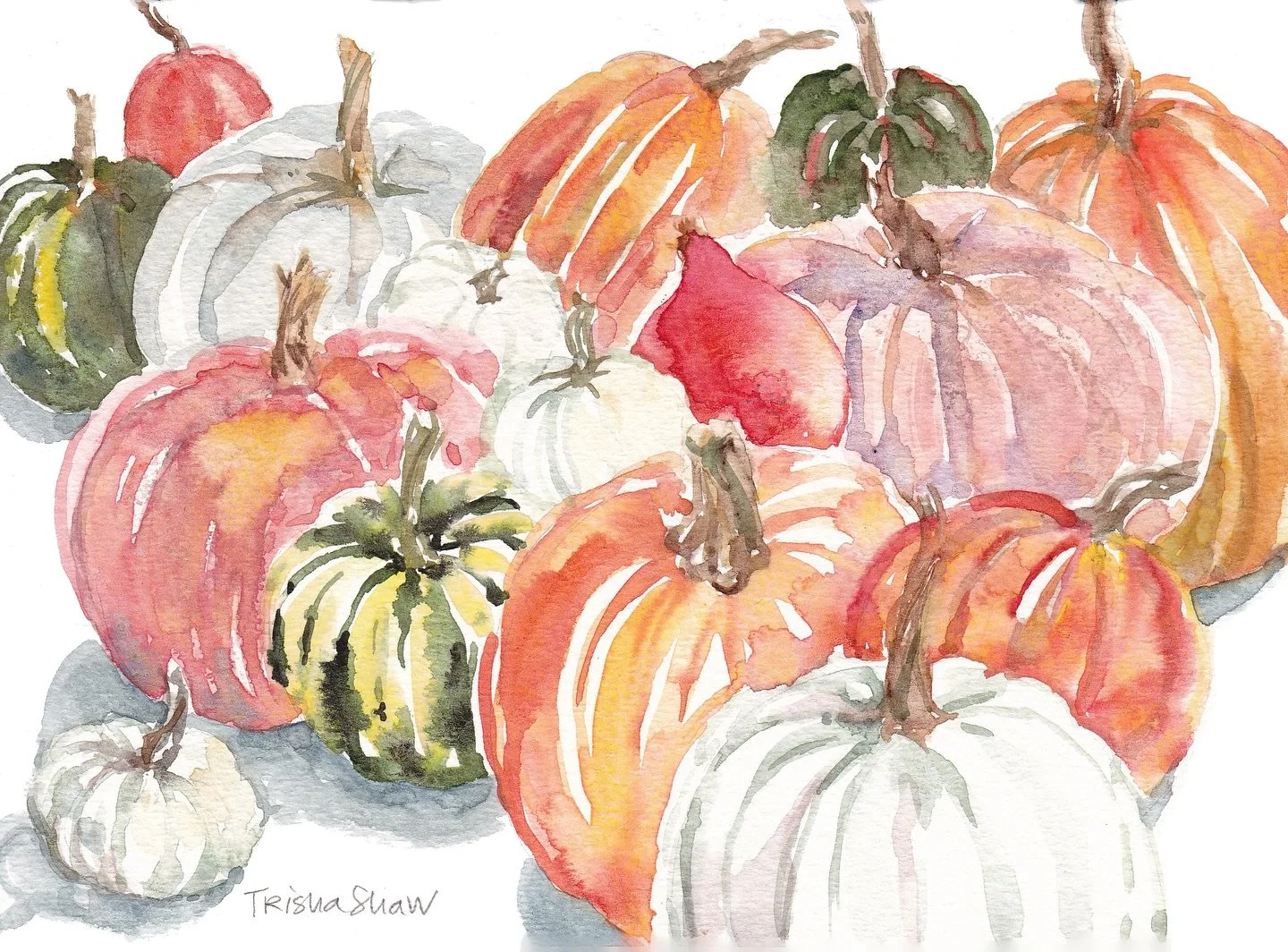 have you been to the pumpkin patch? gourdgeous 😉🧡💛💚🩶🤍