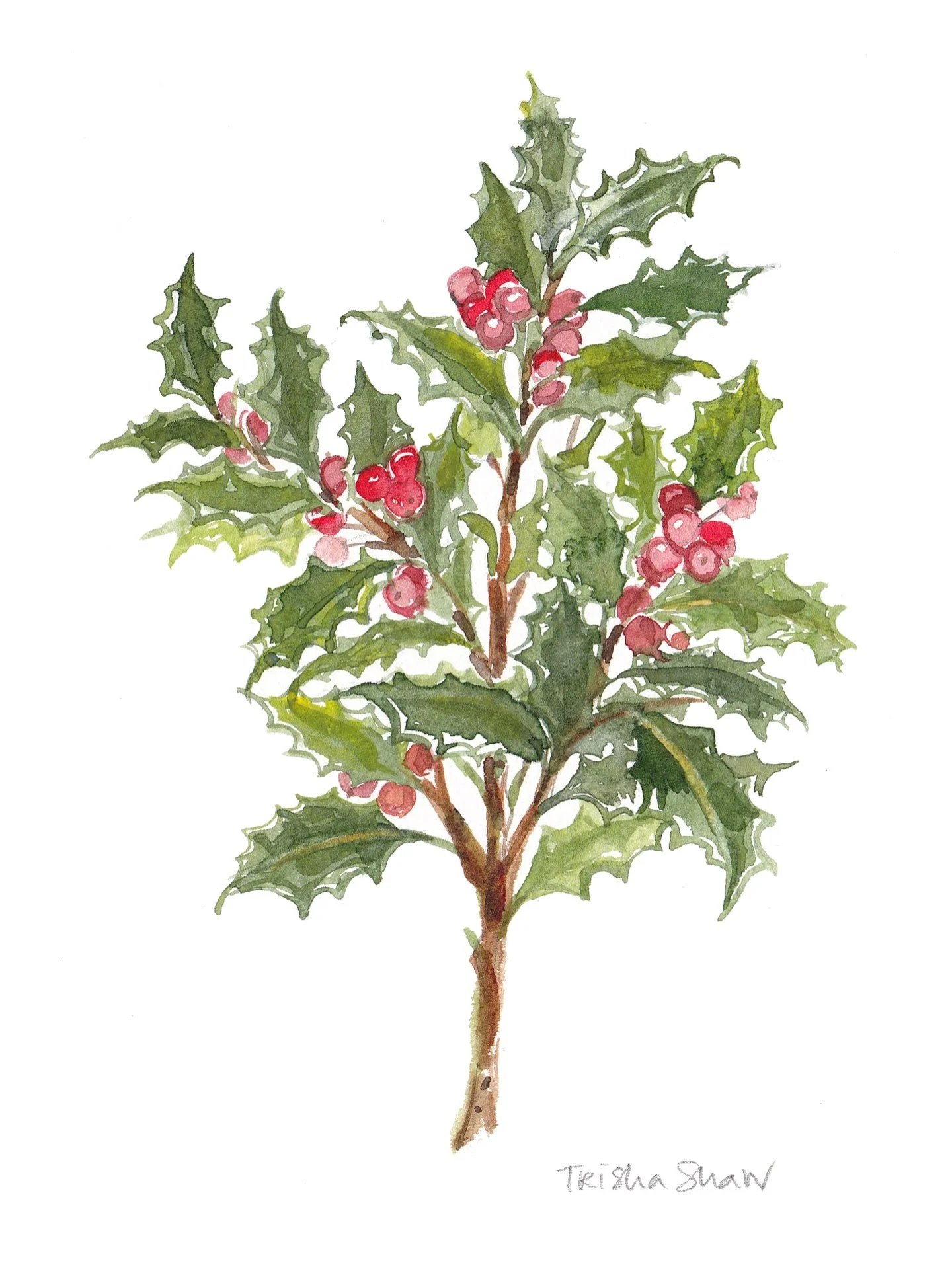 have a holly jolly saturday friends!💚❤️