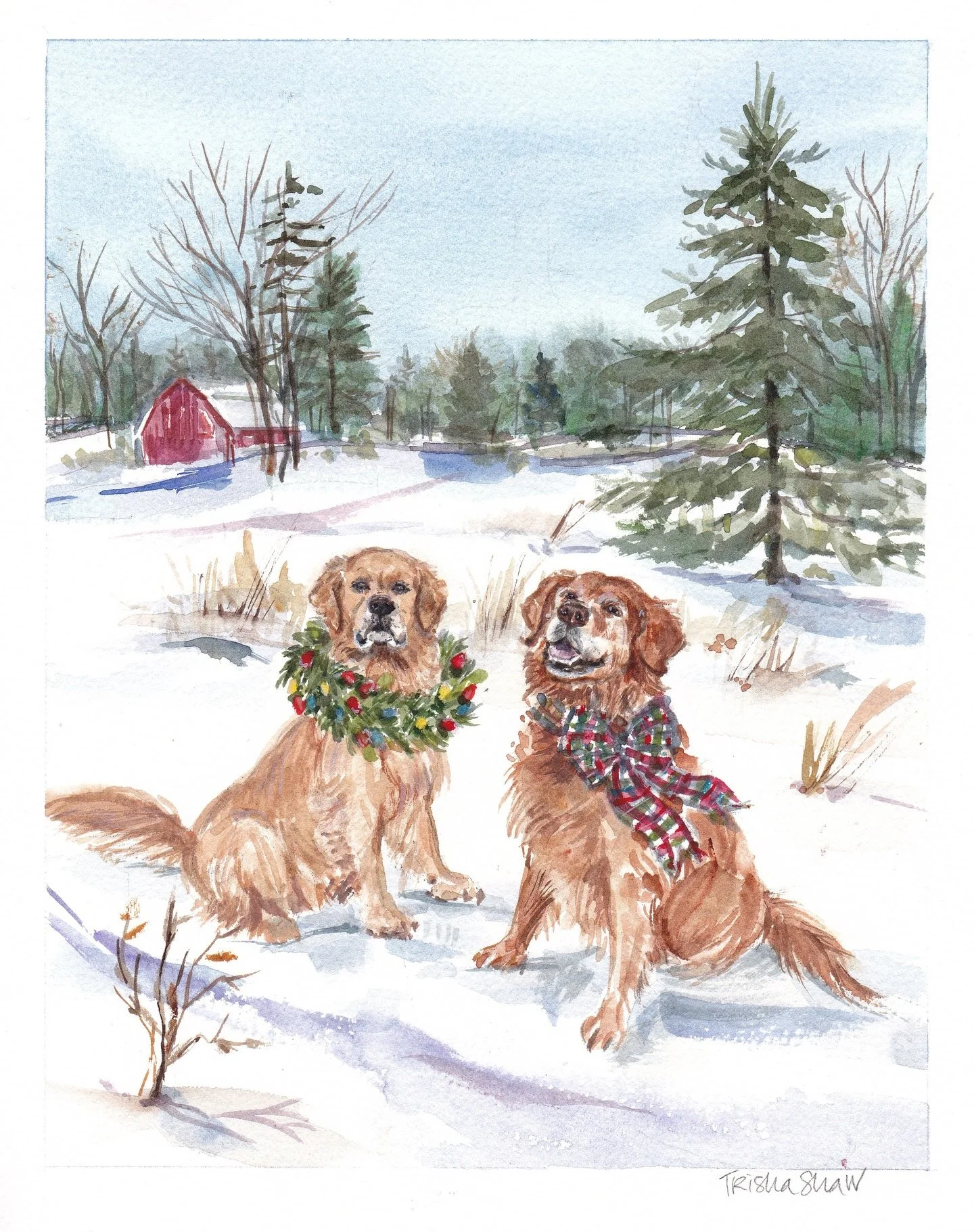 great memories of these two, dressed up here in a winter wonderland 🐾🌲❄️🤍&hearts;️