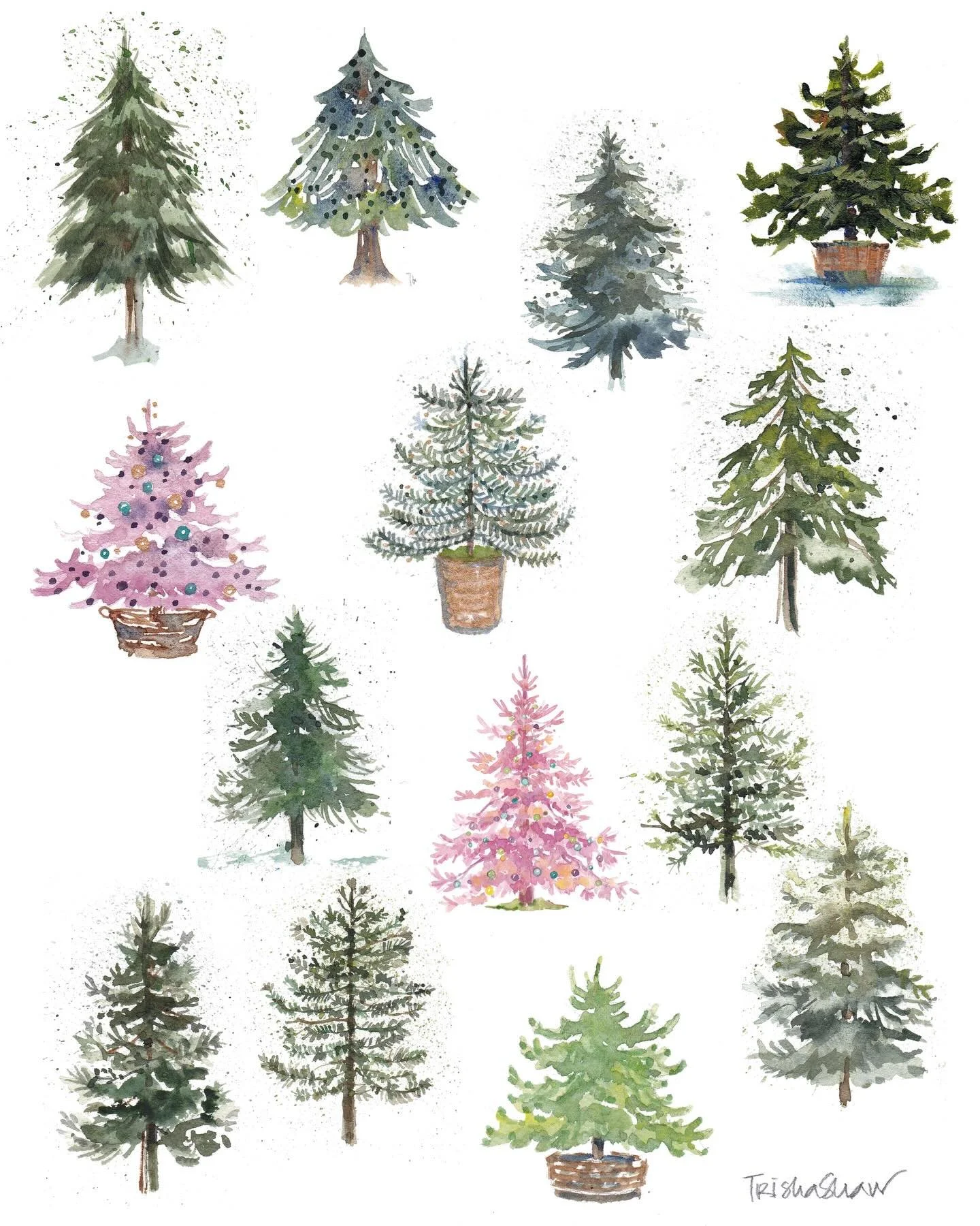 12 tiny trees looking so cute 🌲💗🌲💖🌲