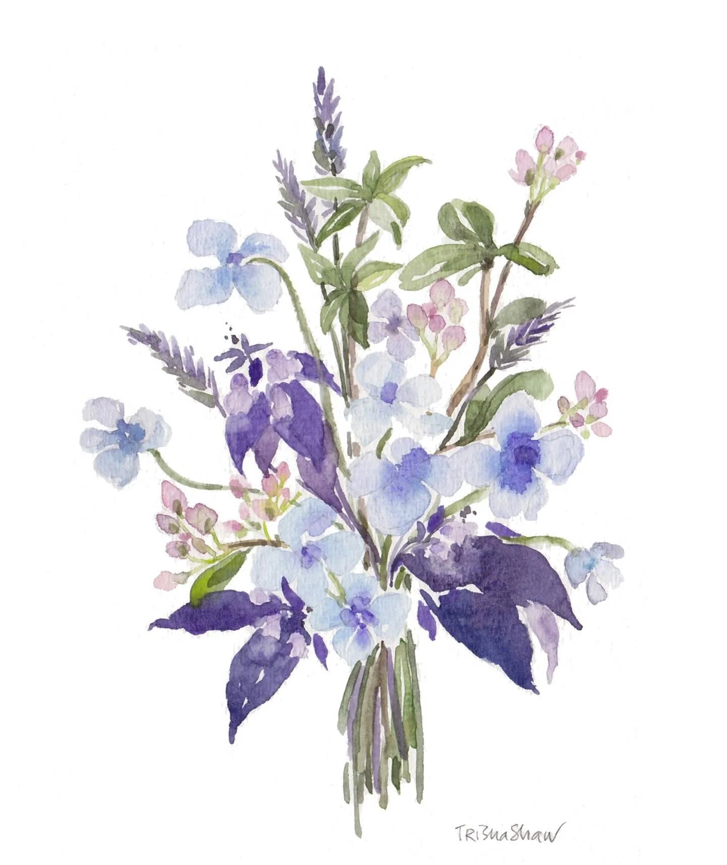 💜💚🤍💙🩷 for all my beautiful women