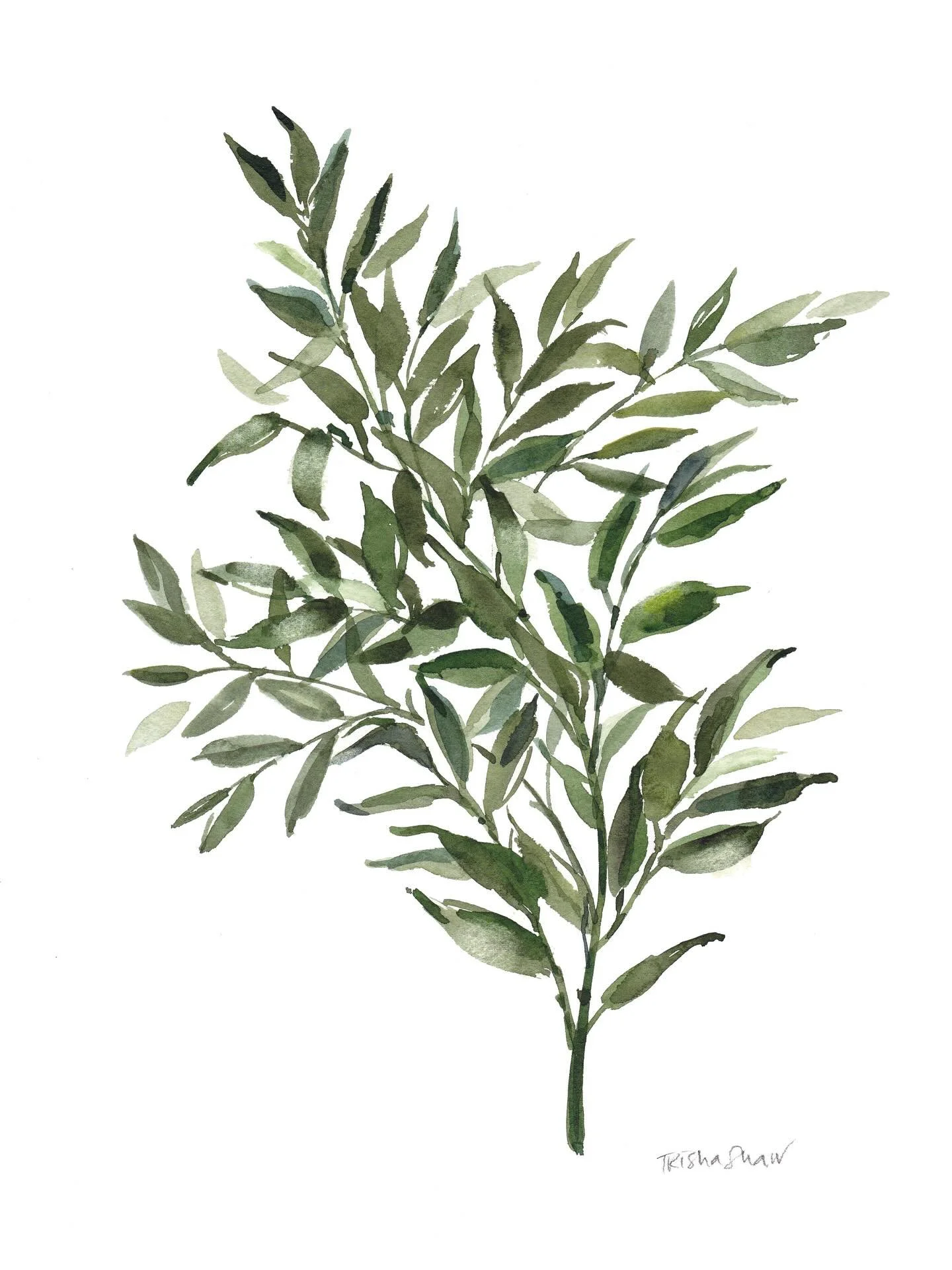 screentime or greentime? choose green!💚🌿💚🌿