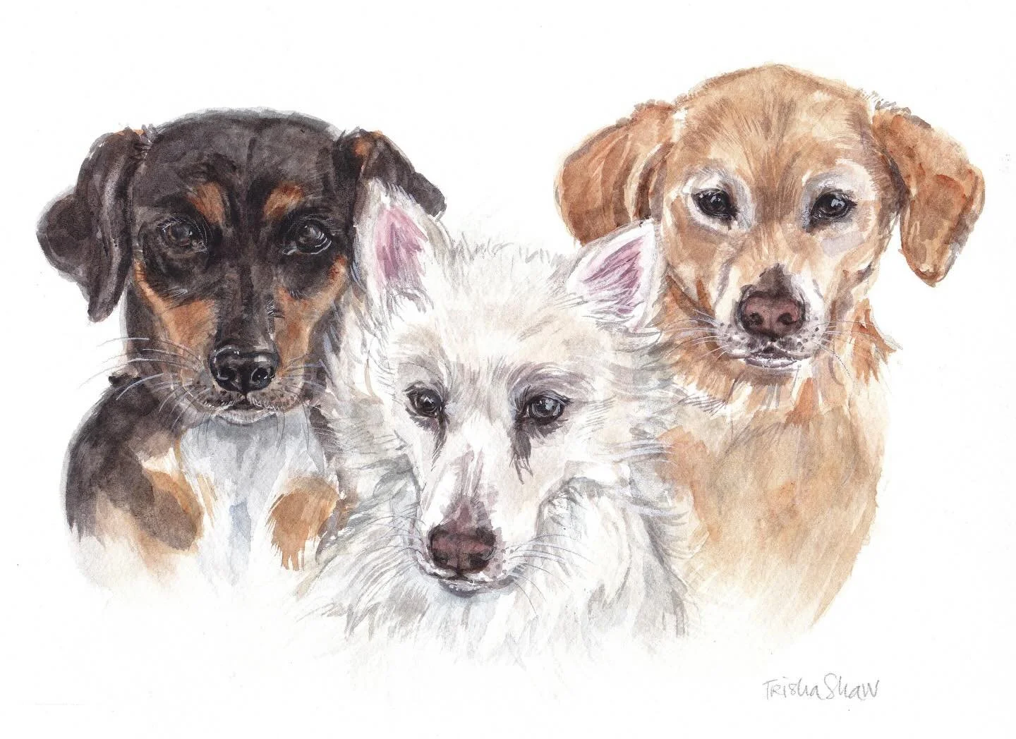 look at this little crew- so cute!🐾🐶🐾🦴🐾