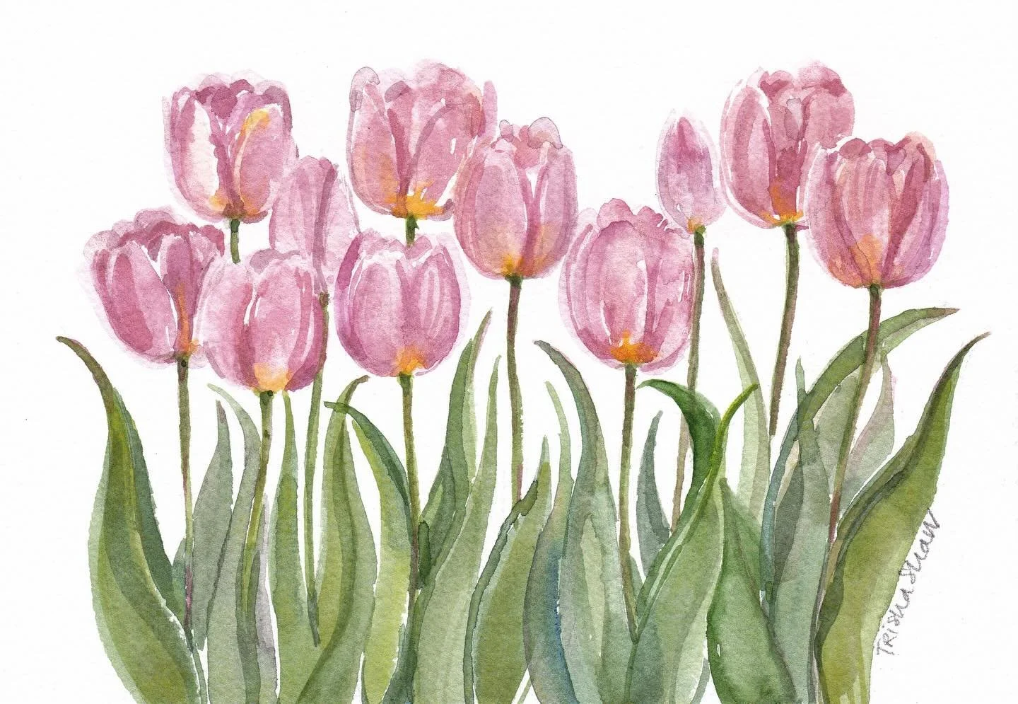 I&rsquo;m in a tuulliippp state of mind🌷💕🌷💕🌷