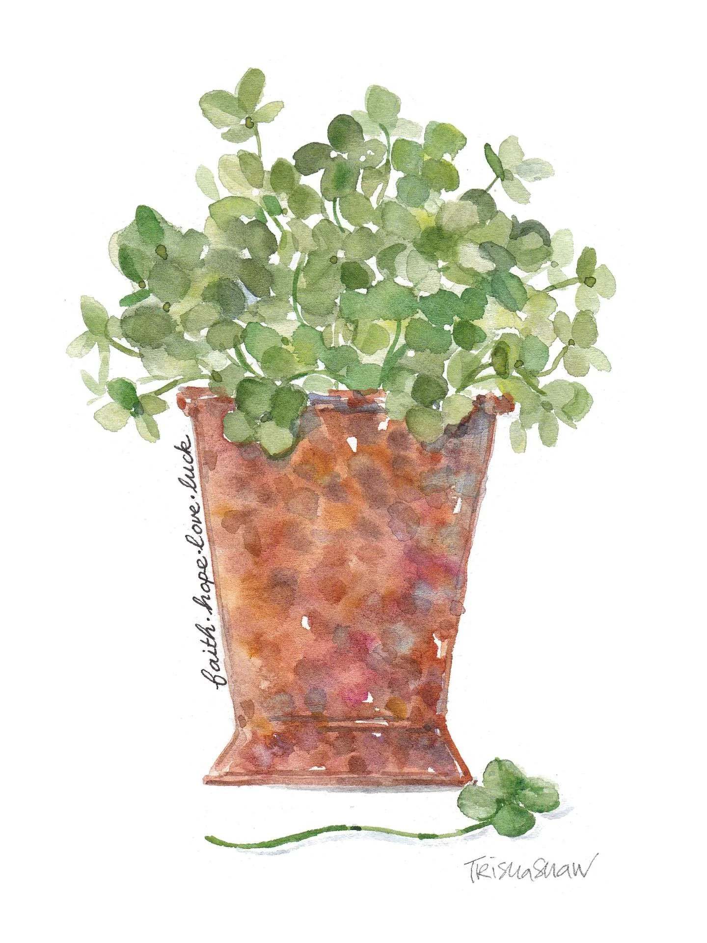 clover in copper for a monday morn 💚🍀🤎☘️