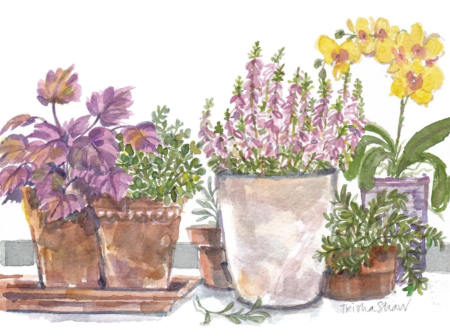 may your day be filled with flowers &amp; beauty 🌼💕🌸🌿