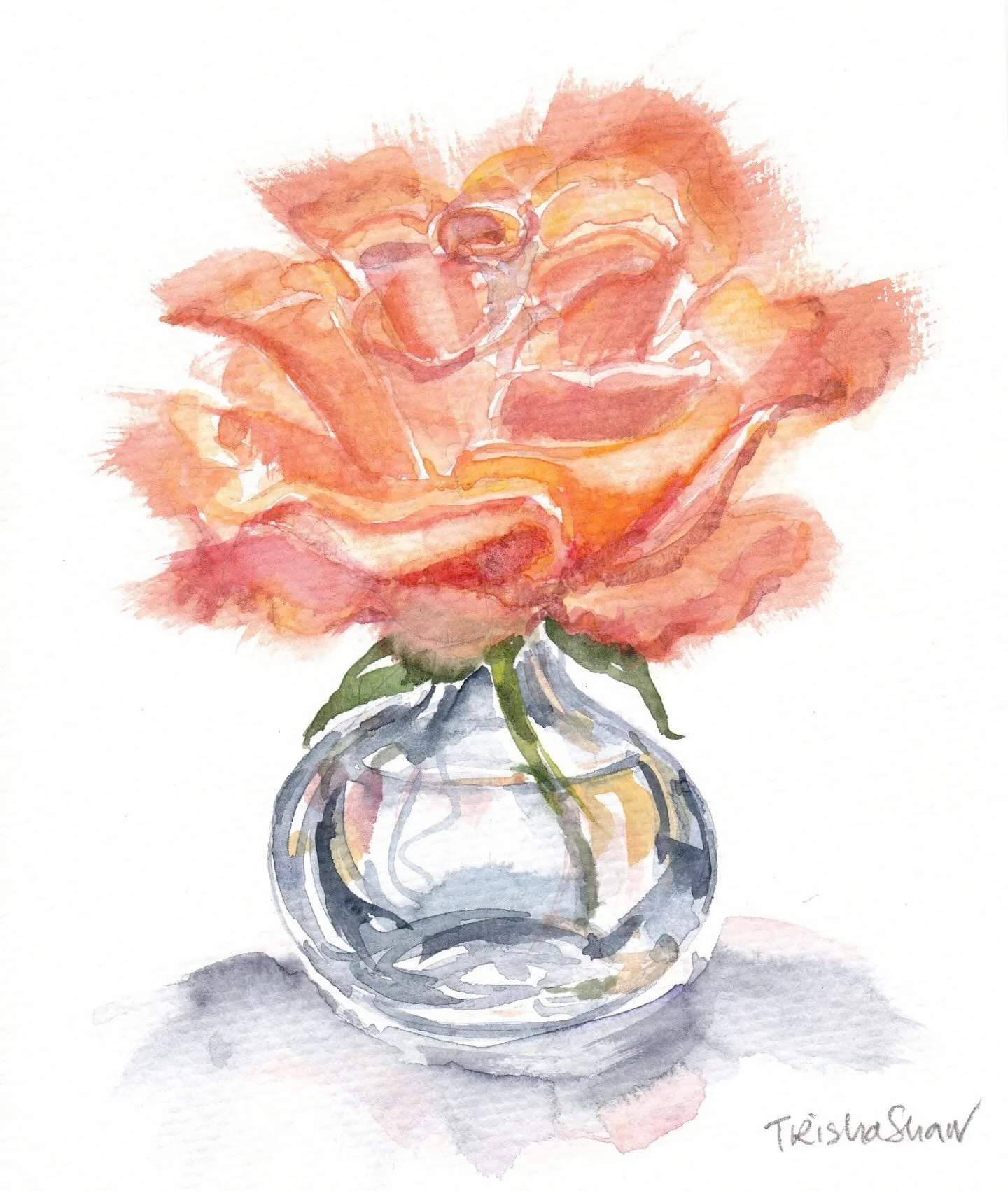 a pretty rose sitting sweetly in a bud vase 🧡