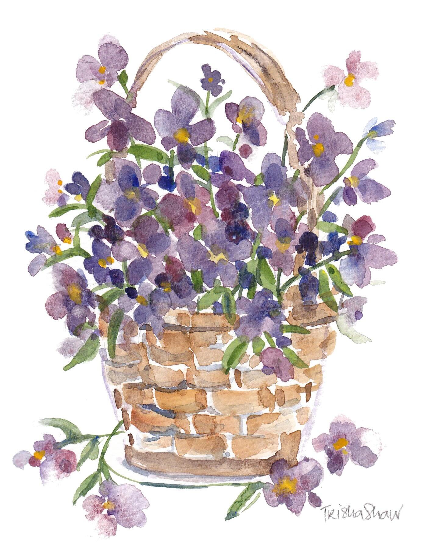 fill a little basket with violets!💜💜💜