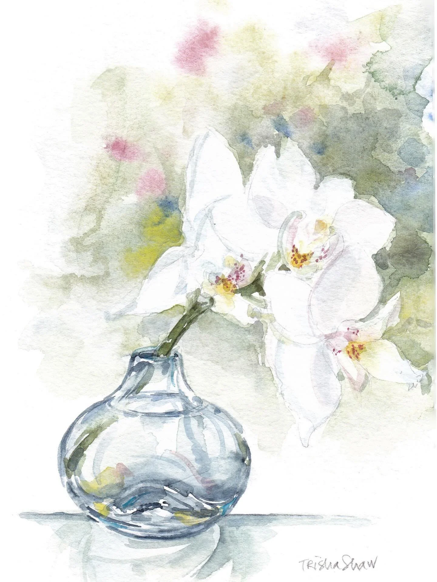 dreamy orchid in a bud vase&hellip;this is a favorite of mine 💕🤍💜💚