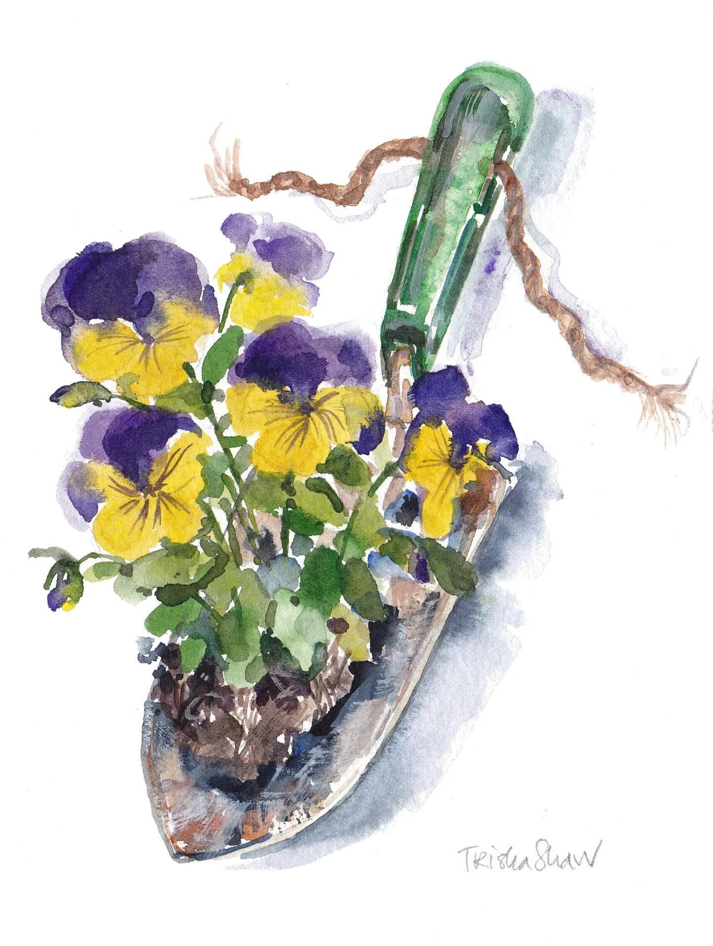 the pansies have been planted for a while but this painting is fun to share! 💜💛💚🤎spring is a time for celebrating renewal &amp; growth 🌿